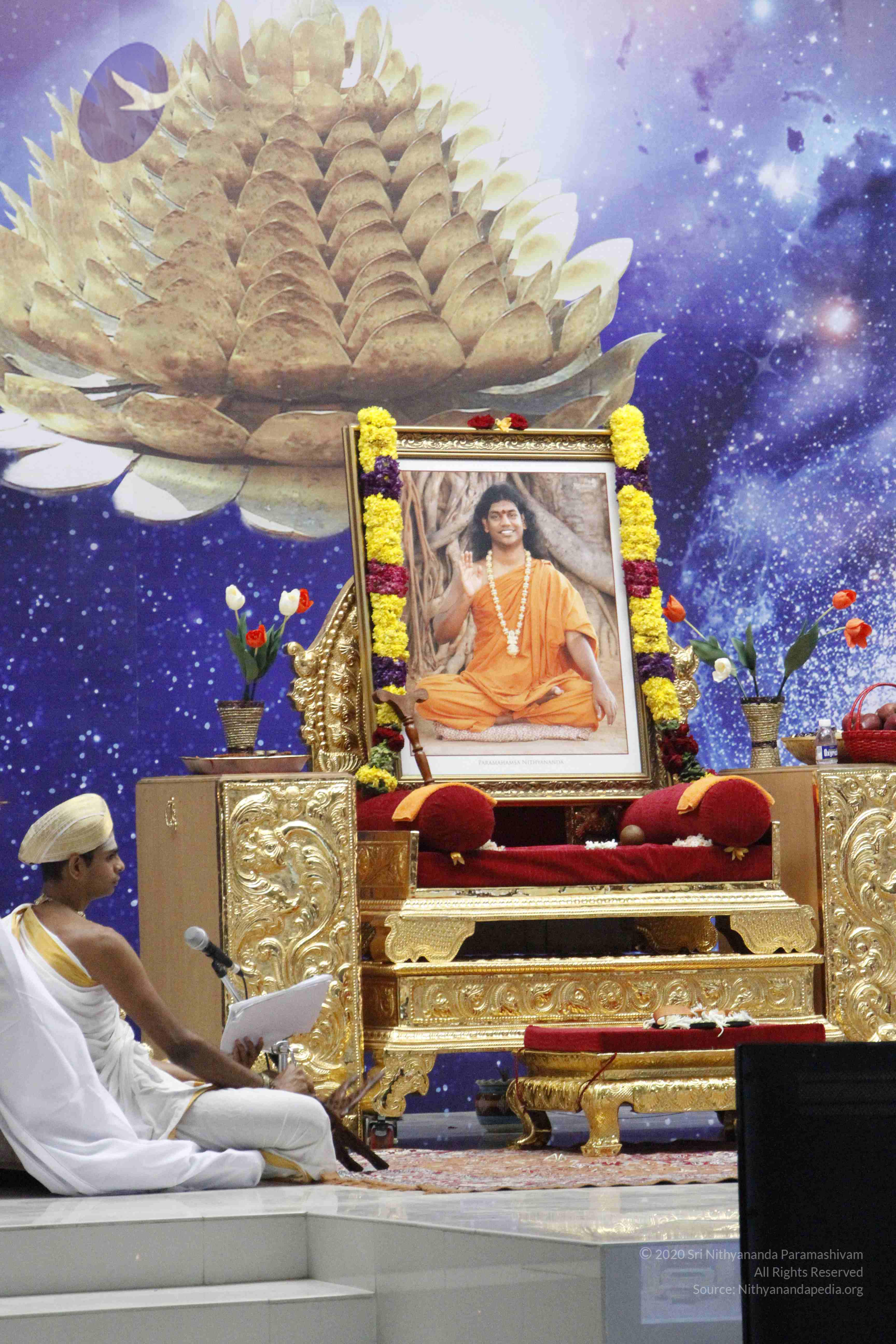 20110801_Photo_1008__MG_8684_CMP_WM