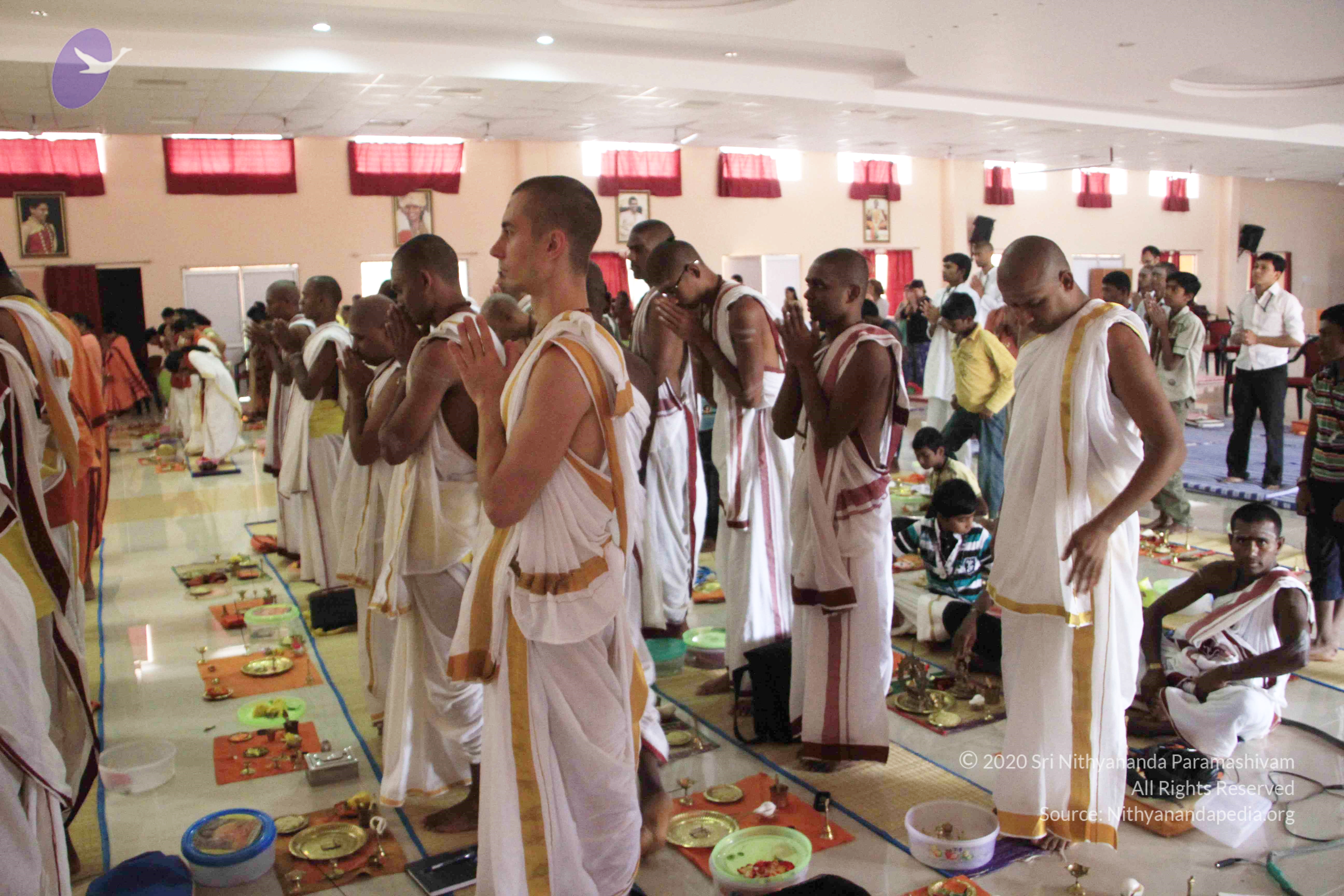 20110801_Photo_1015__MG_8608_CMP_WM