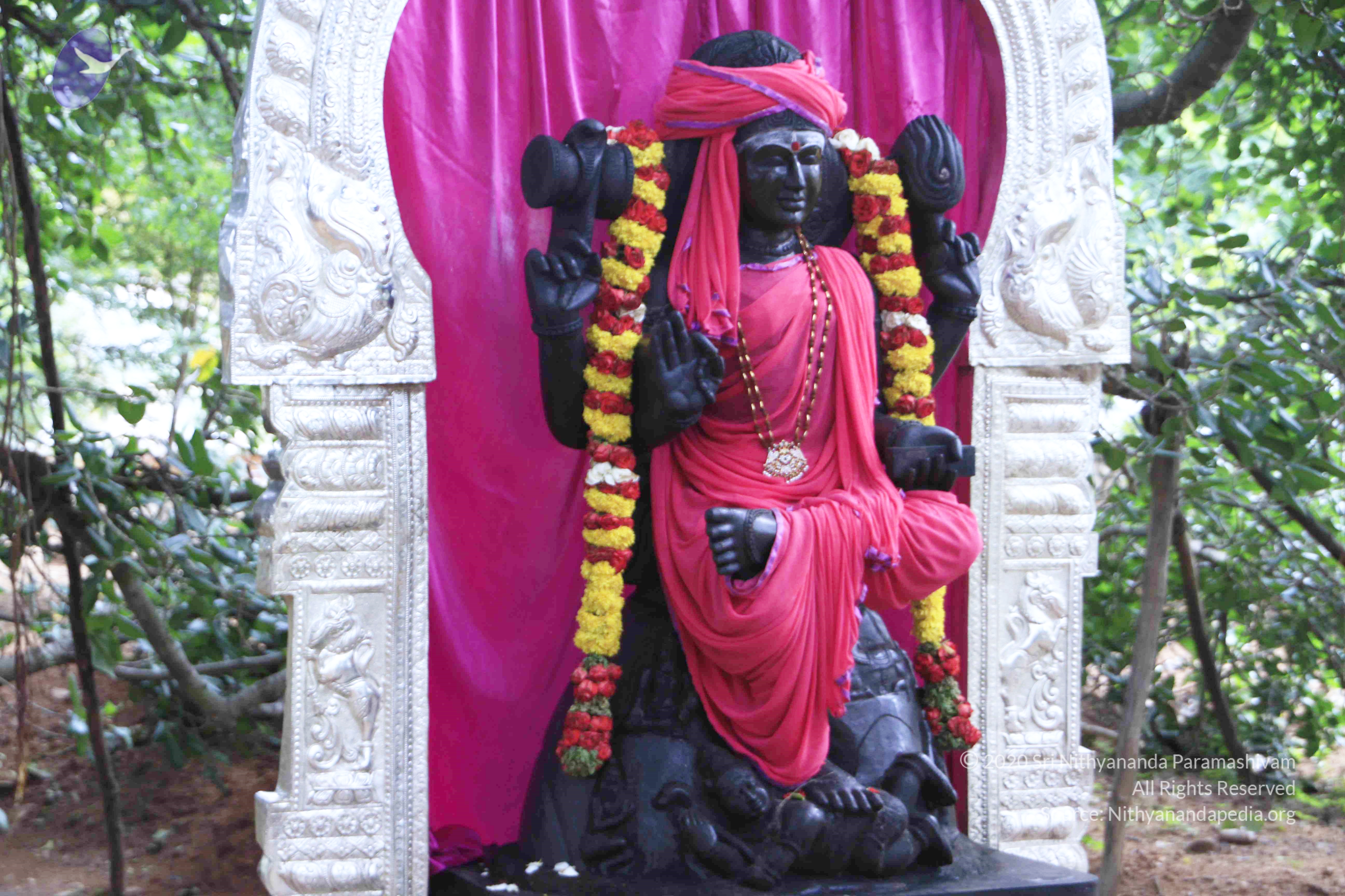 20110801_Photo_1016__MG_8641_CMP_WM