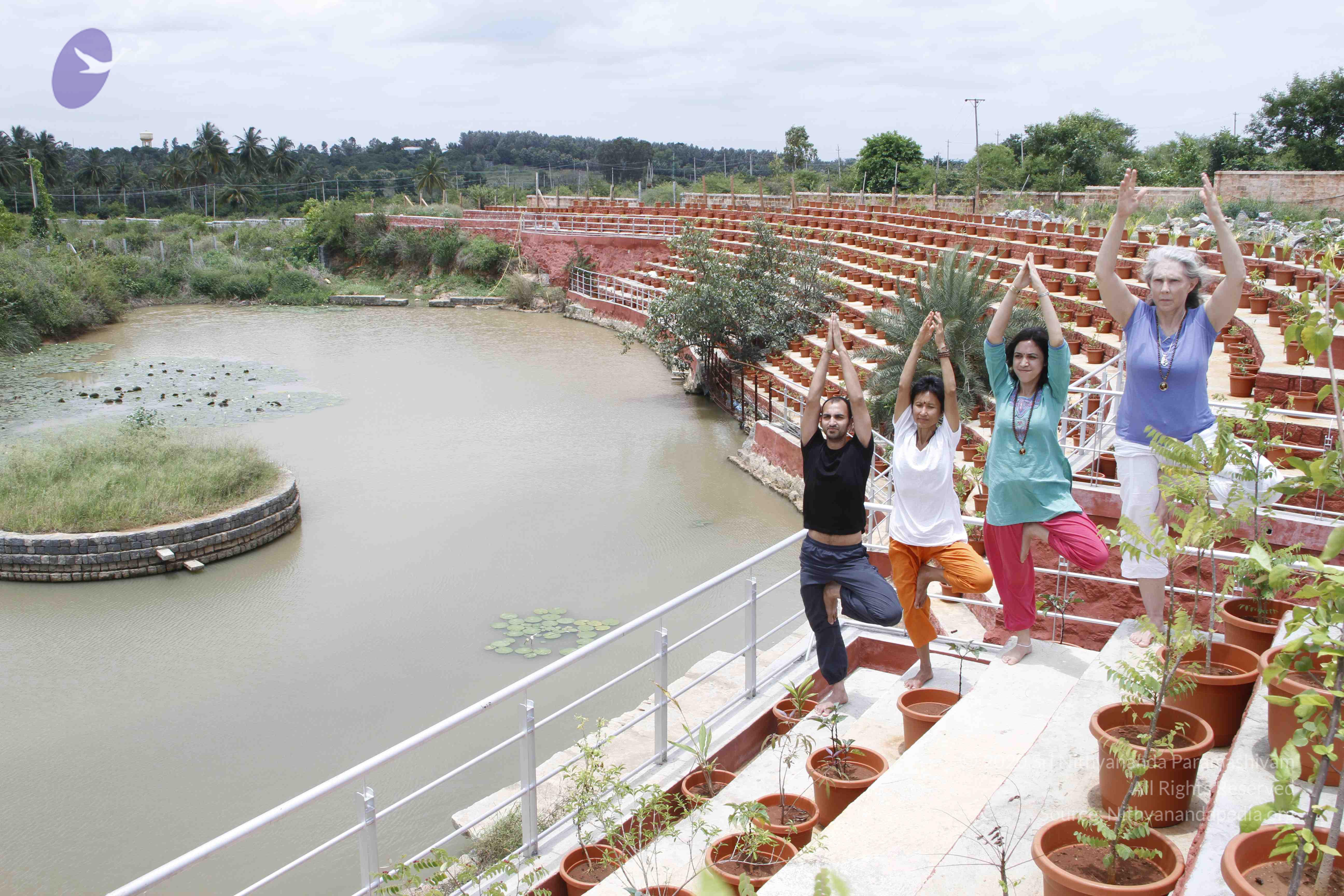 20110801_Photo_1021__MG_8737_CMP_WM