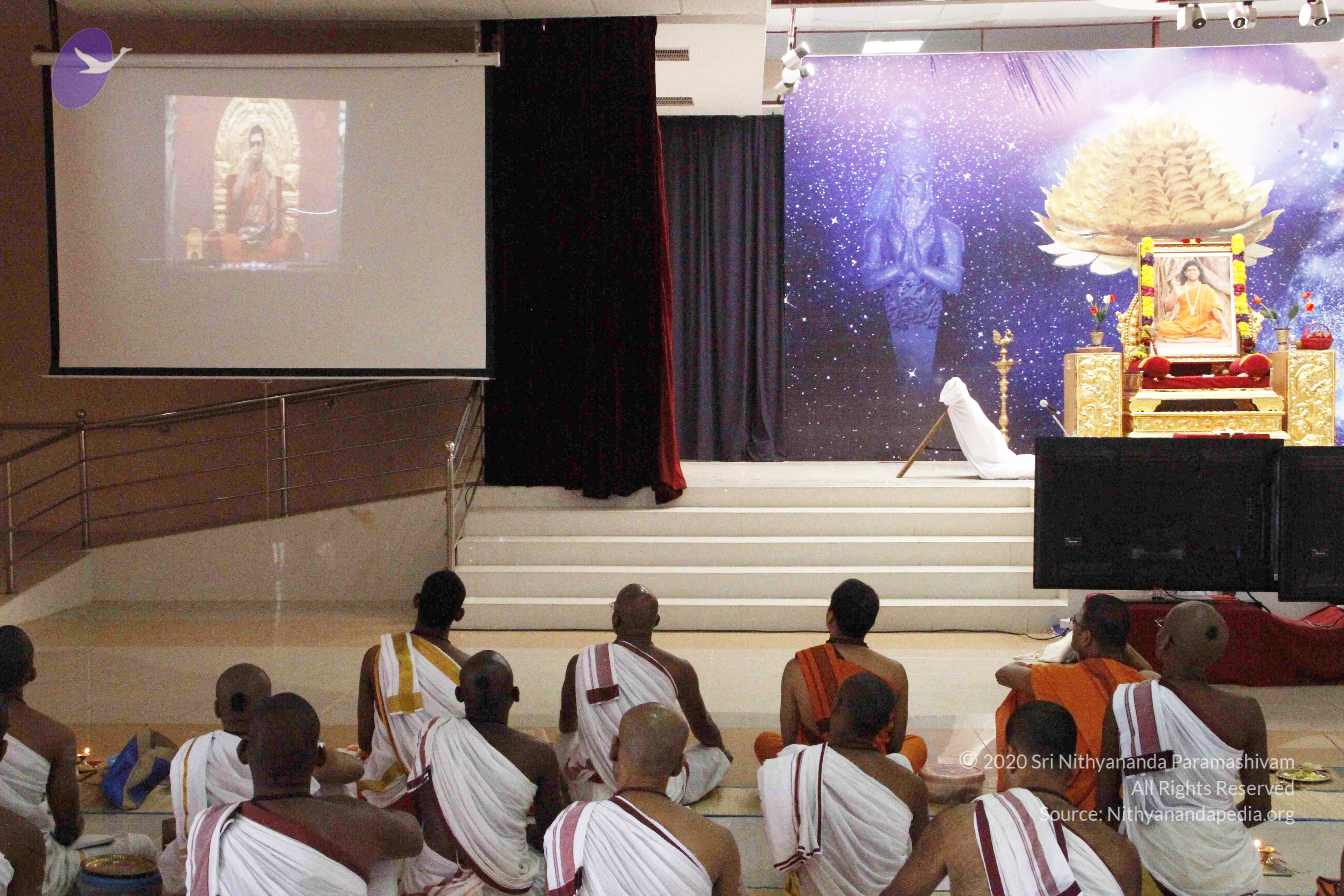 20110801_Photo_1022__MG_8689_CMP_WM