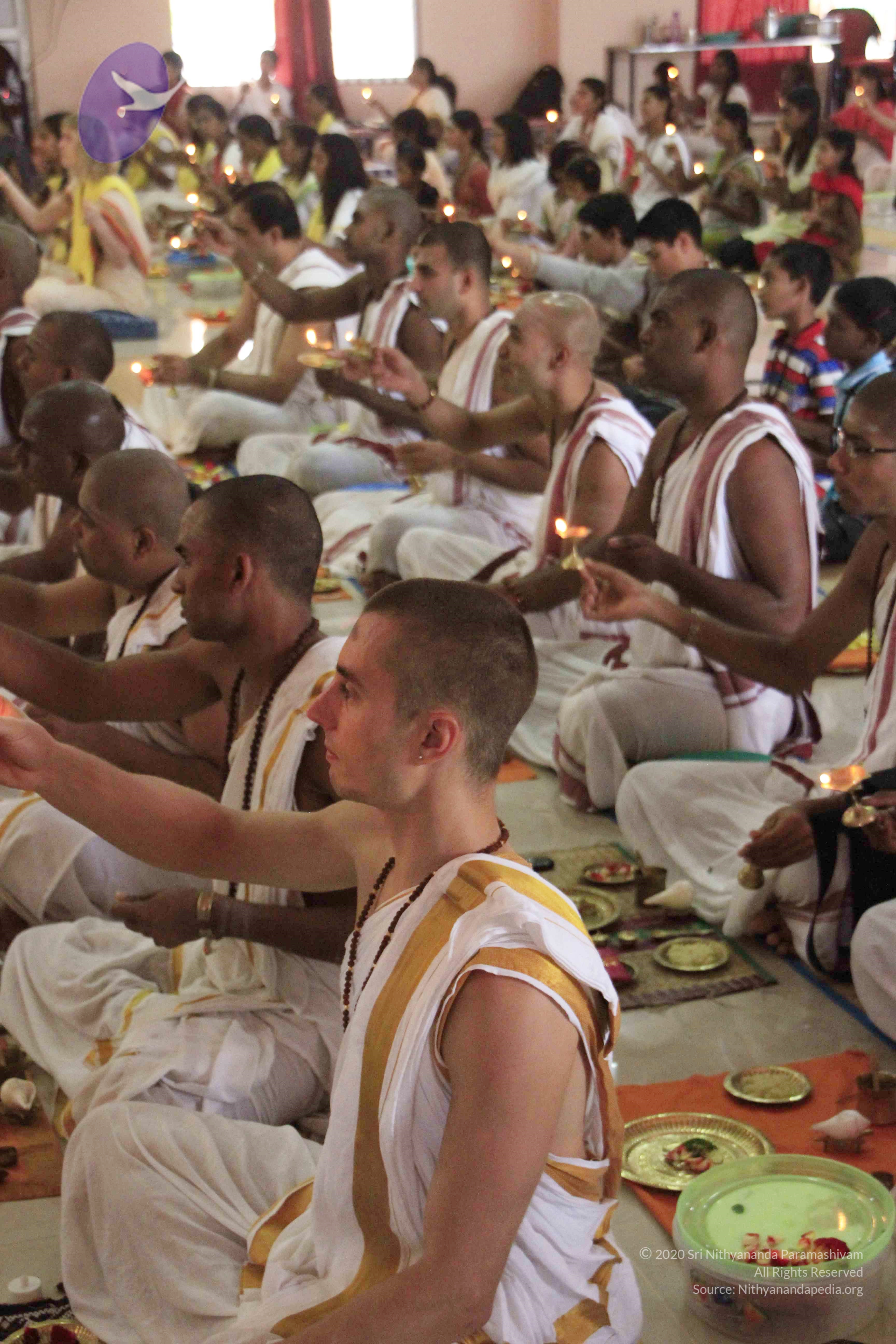 20110801_Photo_1024__MG_8658_CMP_WM