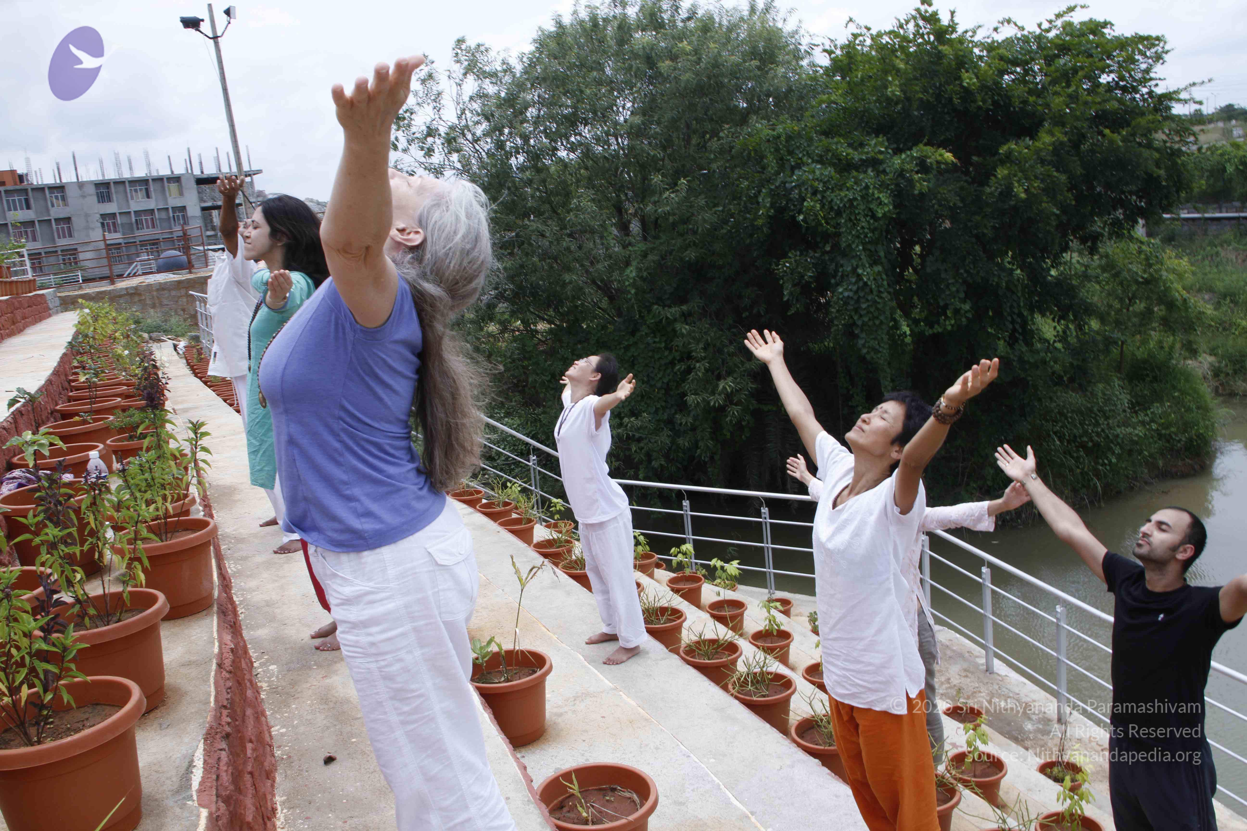 20110801_Photo_1027__MG_8750_CMP_WM