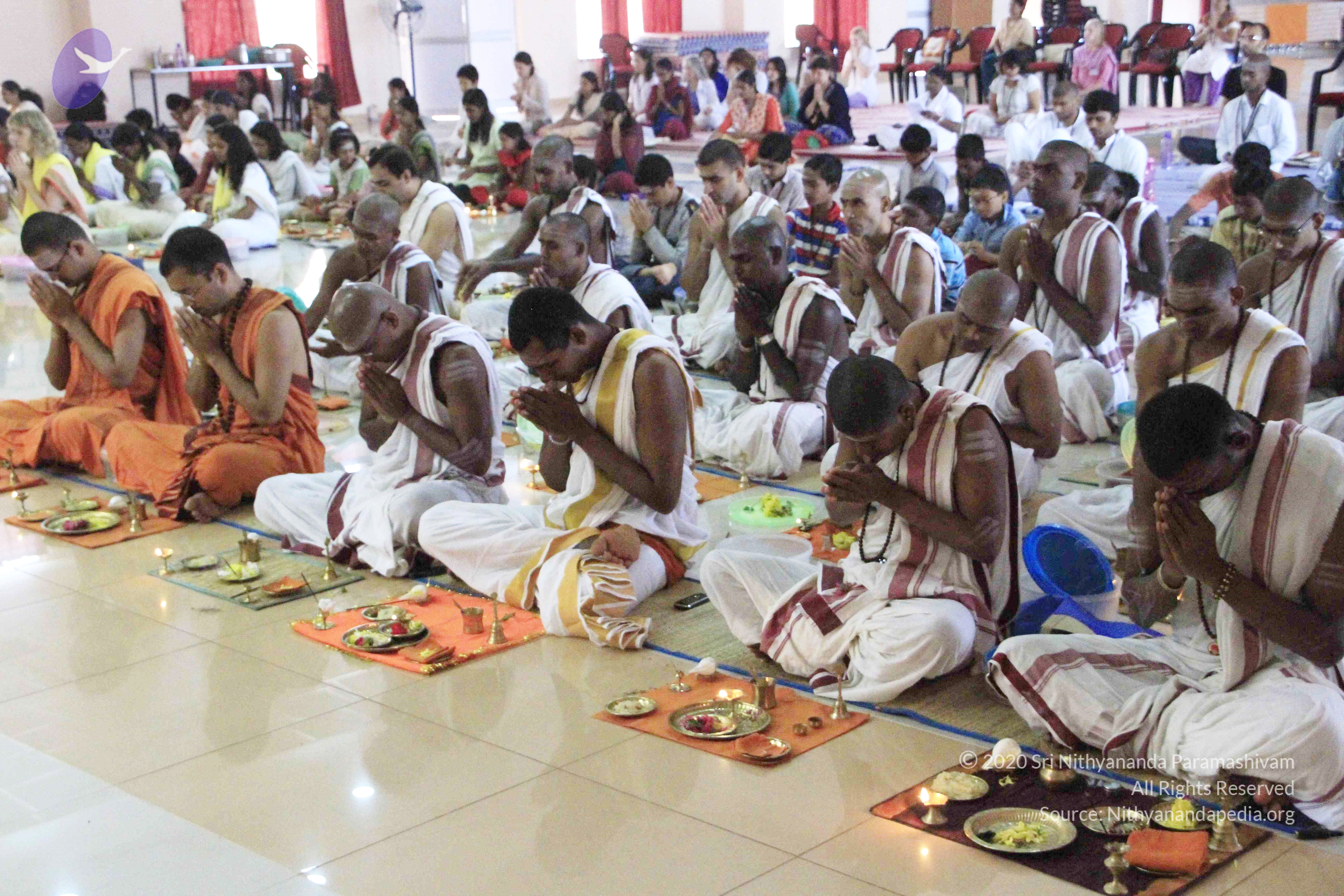 20110801_Photo_1028__MG_8673_CMP_WM