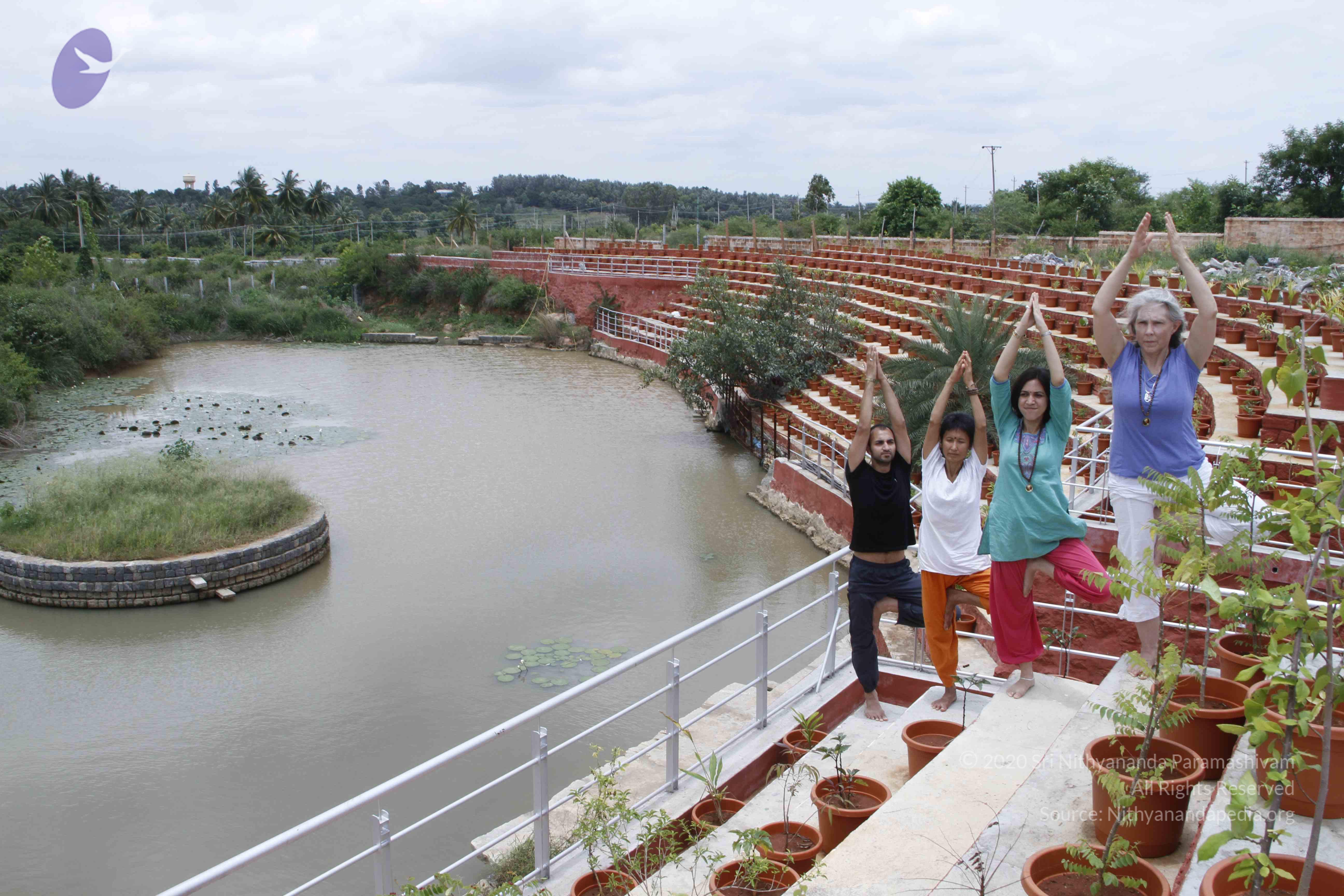 20110801_Photo_1031__MG_8732_CMP_WM