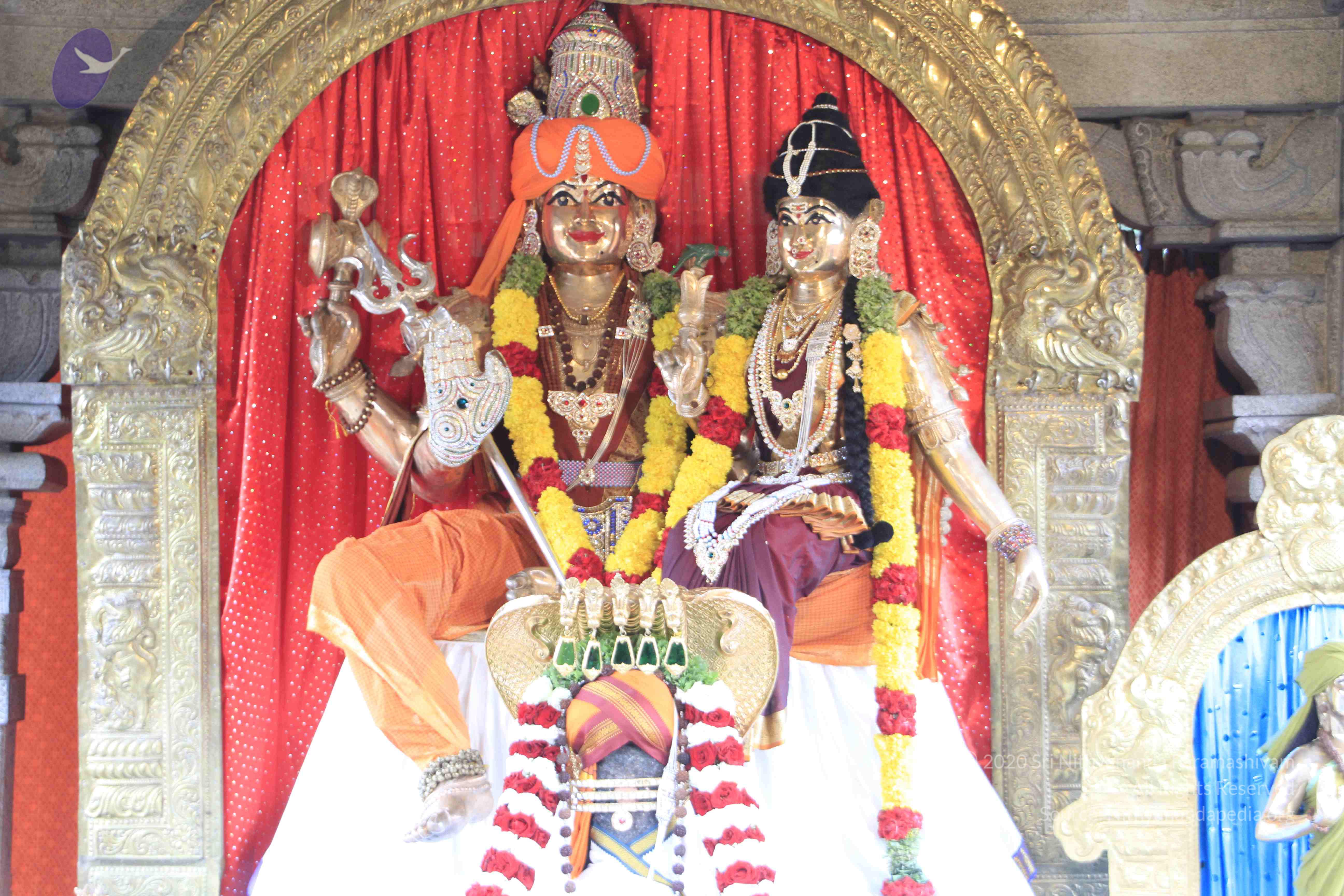 20110801_Photo_1032__MG_8626_CMP_WM