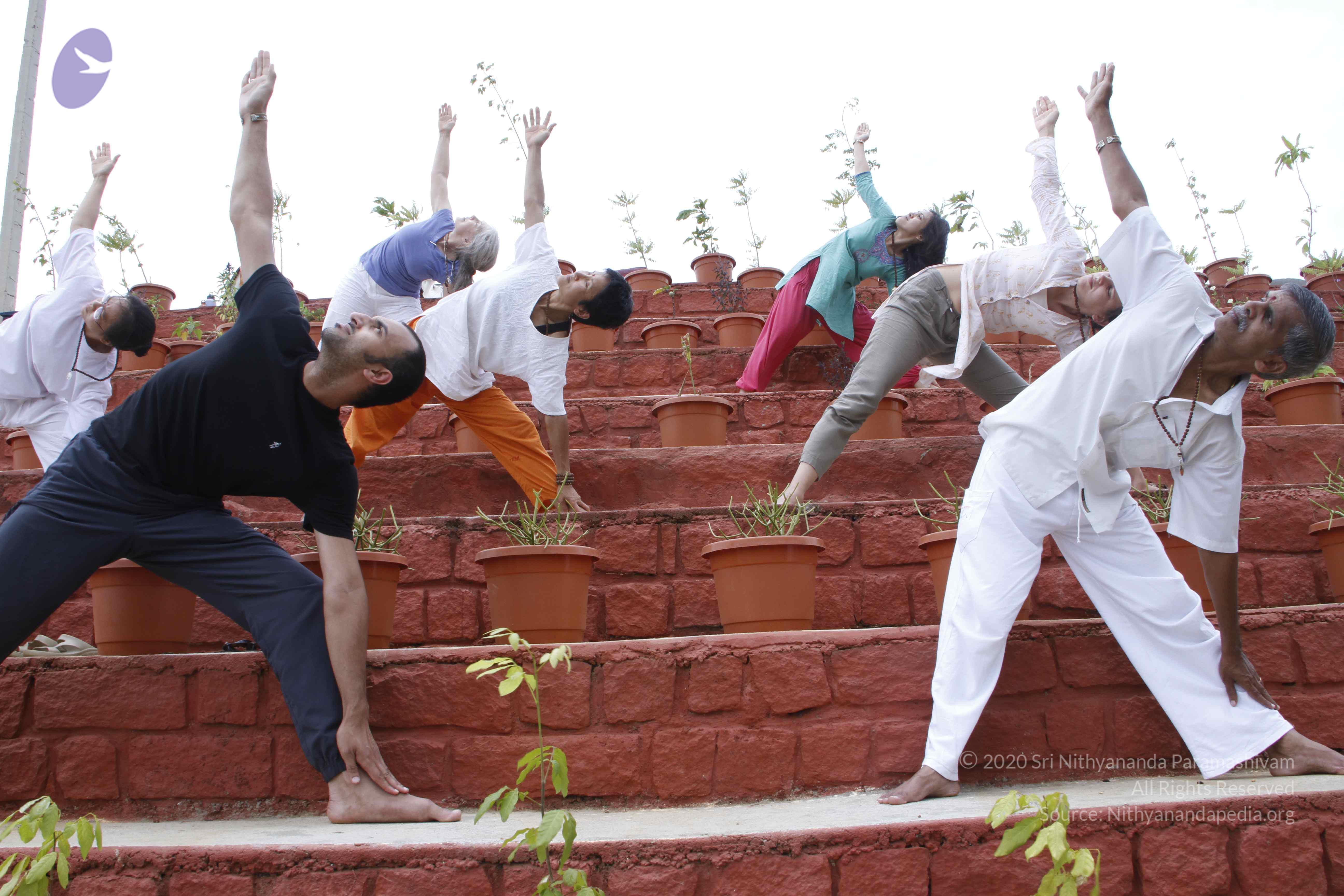 20110801_Photo_1034__MG_8723_CMP_WM