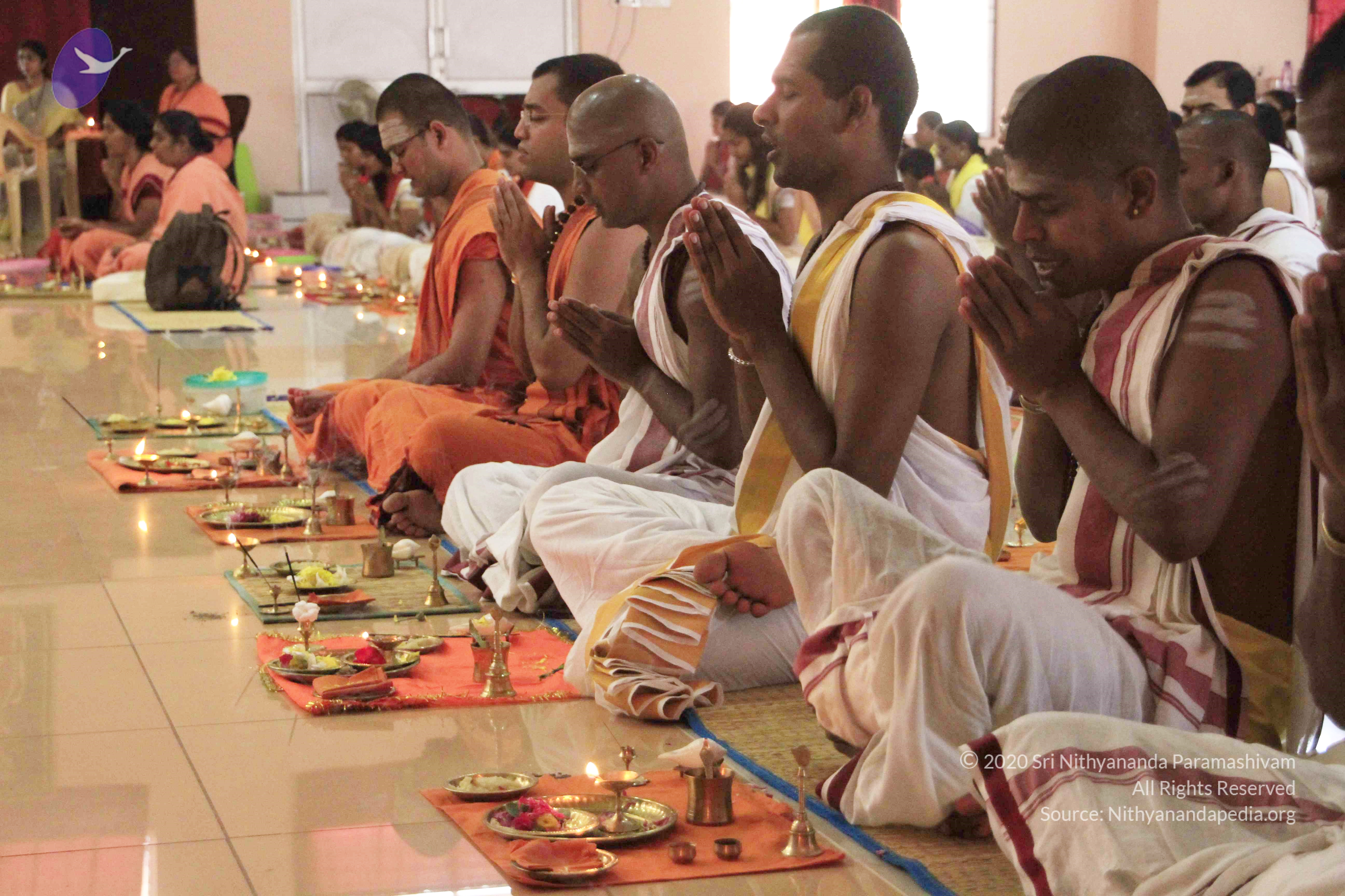 20110801_Photo_1038__MG_8662_CMP_WM