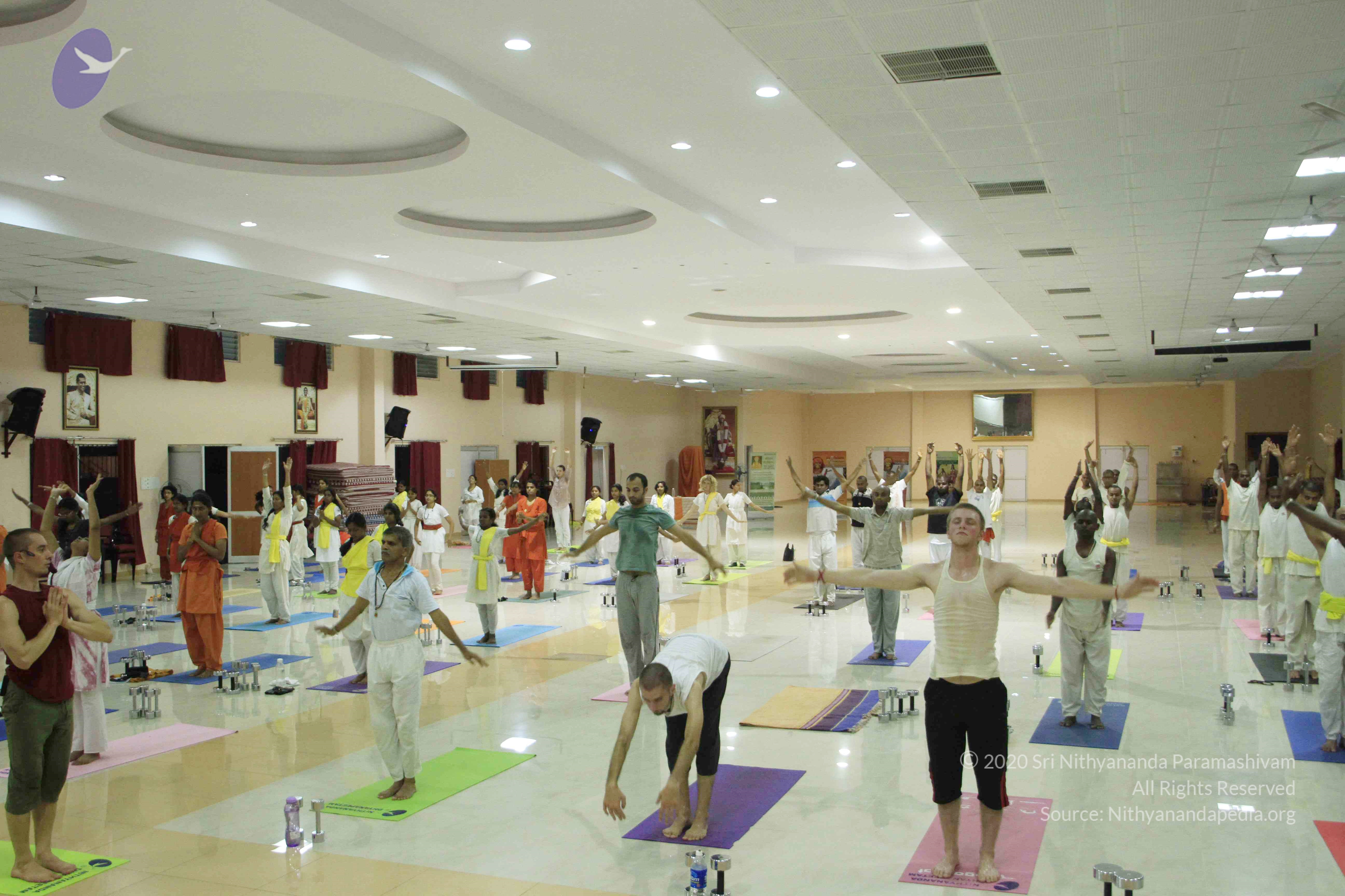 20110801_Photo_1042__MG_8517_CMP_WM