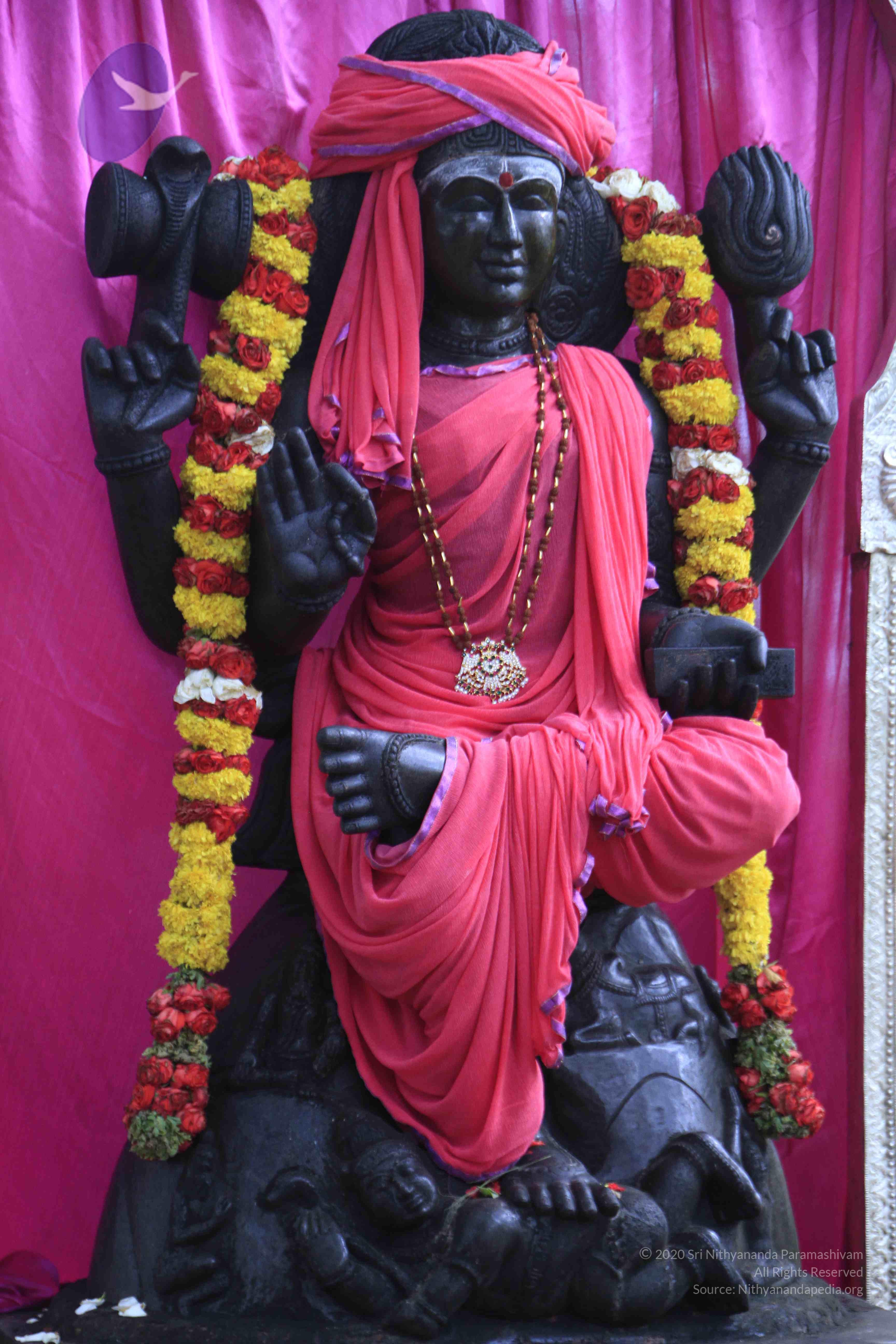 20110801_Photo_1043__MG_8649_CMP_WM