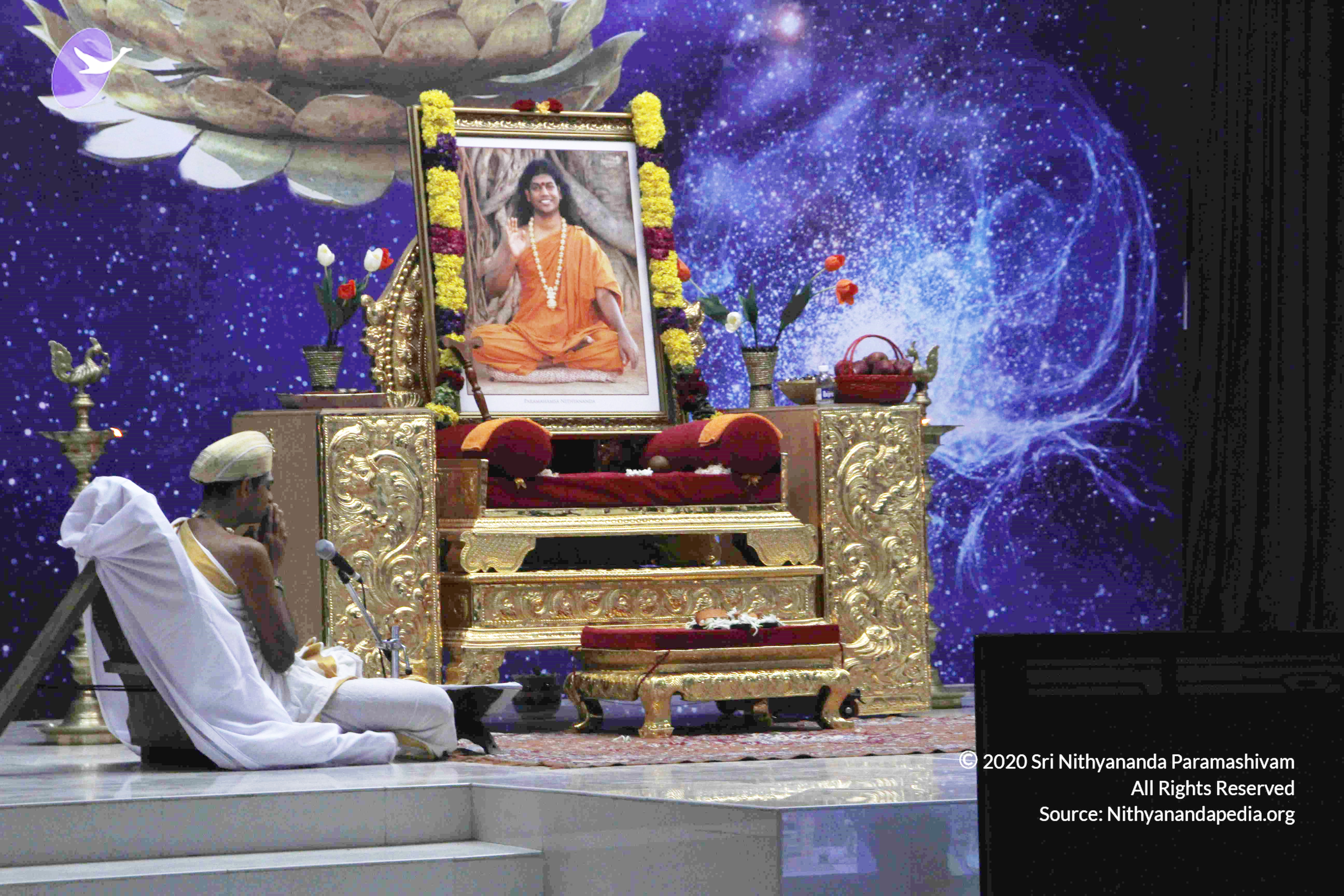 20110801_Photo_1044__MG_8681_CMP_WM