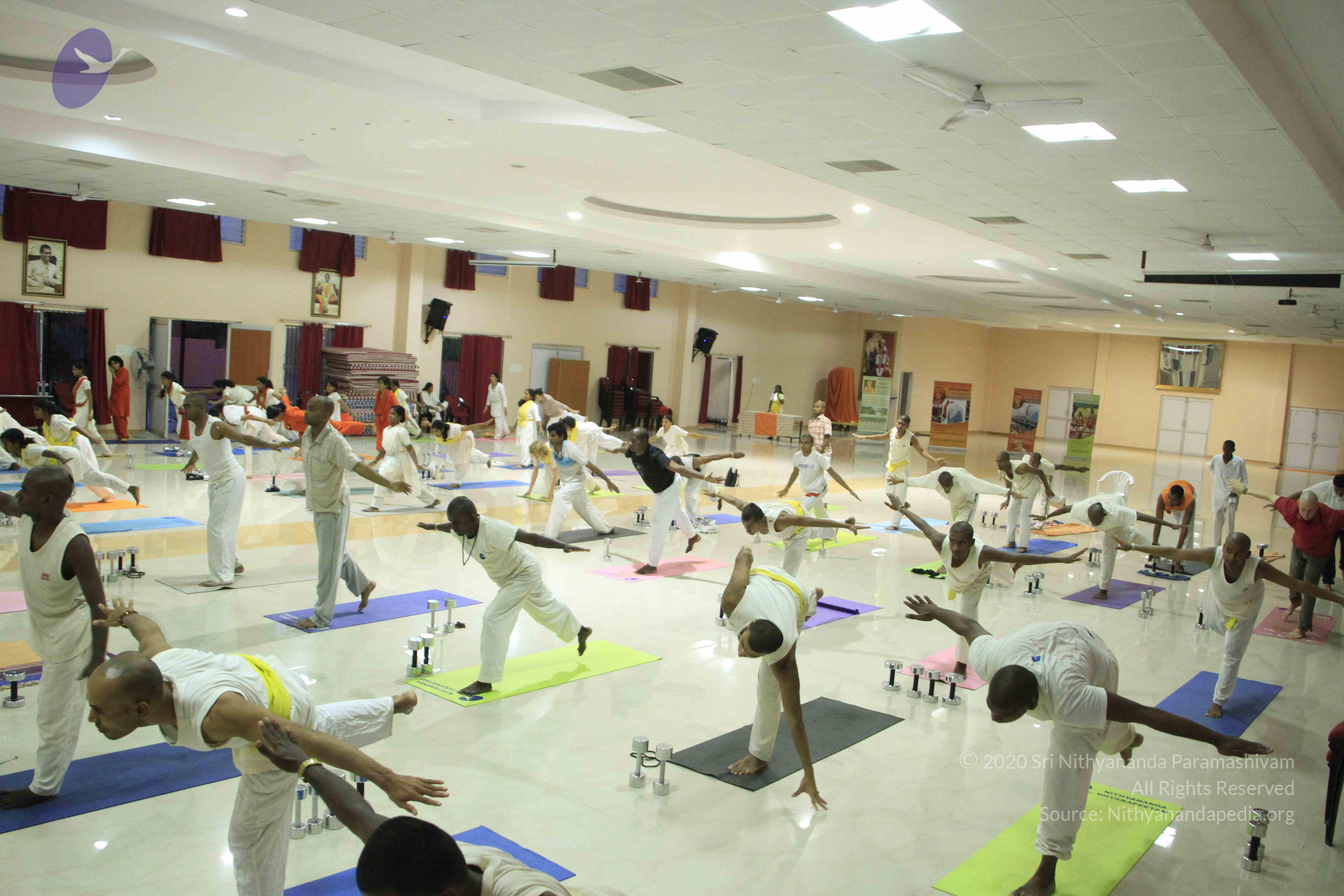 20110801_Photo_1045__MG_8545_CMP_WM