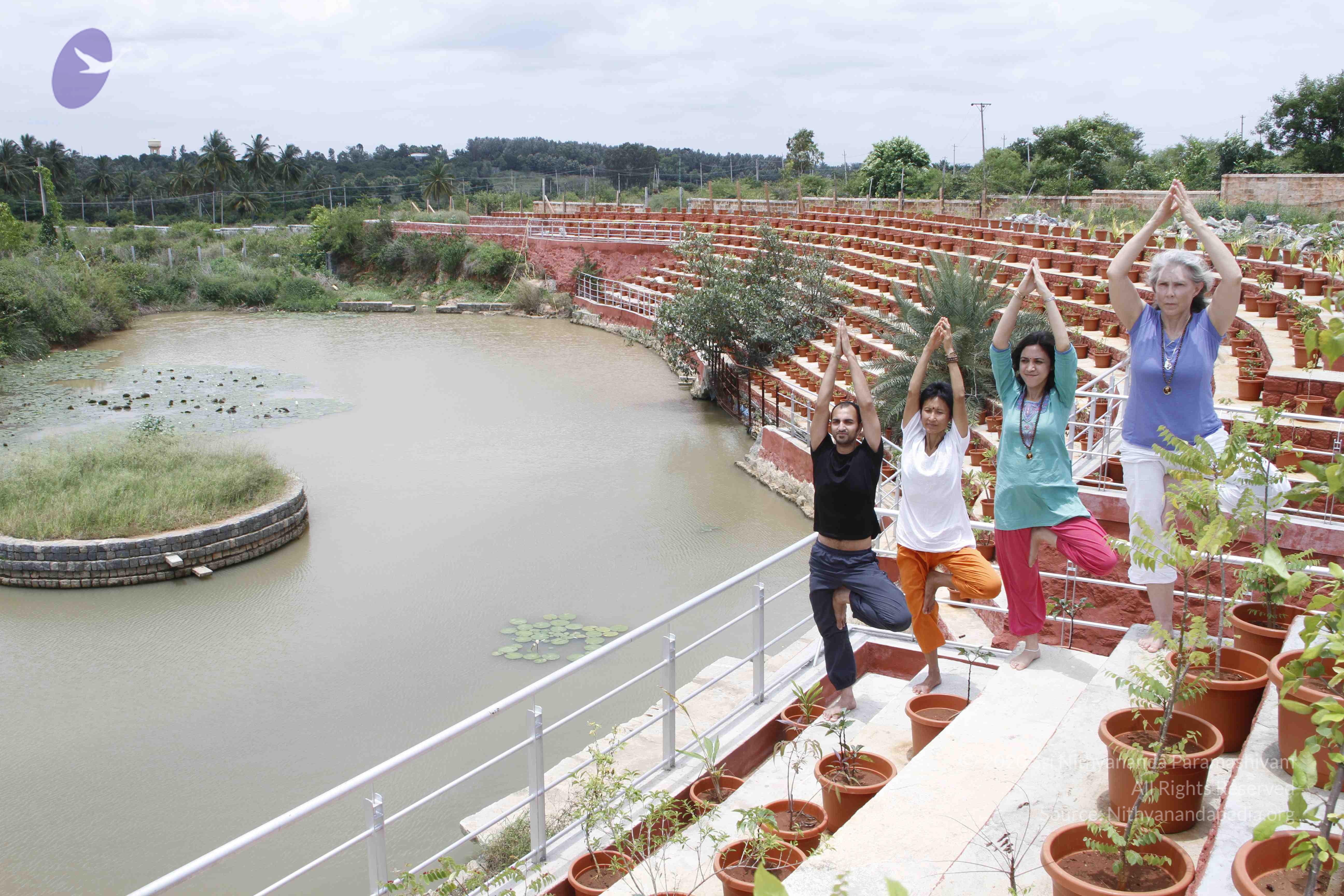 20110801_Photo_1046__MG_8738_CMP_WM