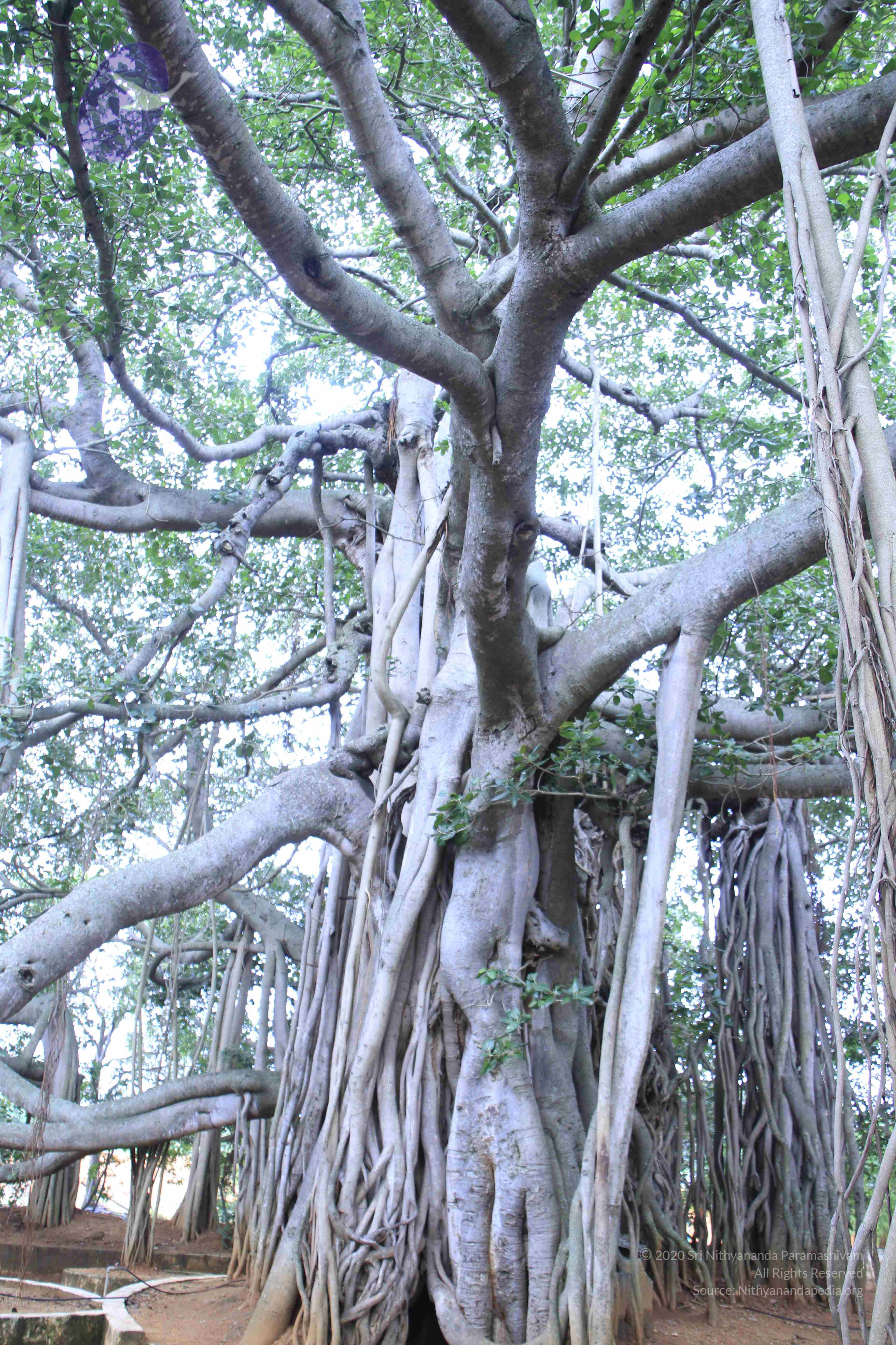 20110801_Photo_1054__MG_8652_CMP_WM