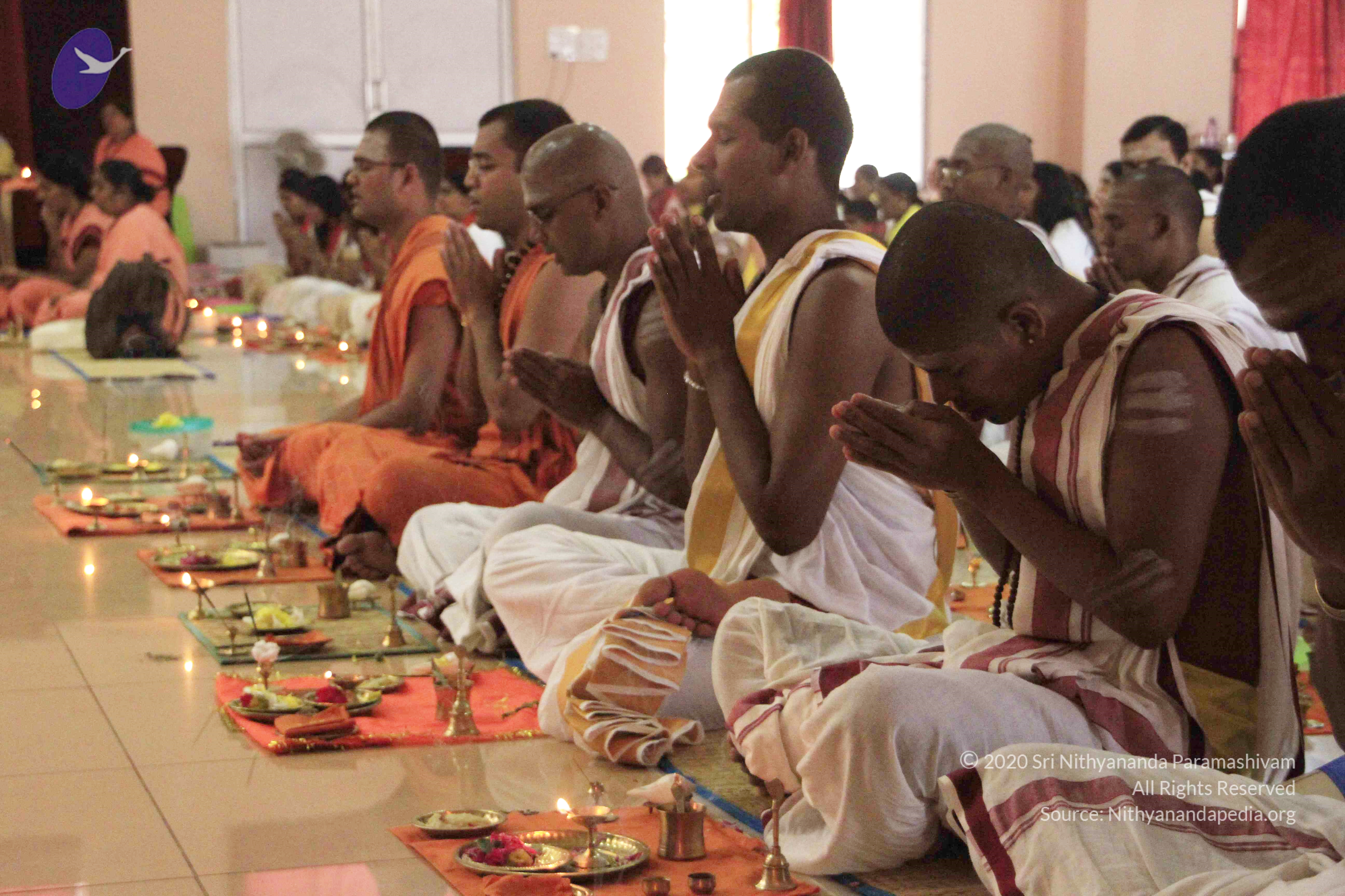 20110801_Photo_1055__MG_8665_CMP_WM