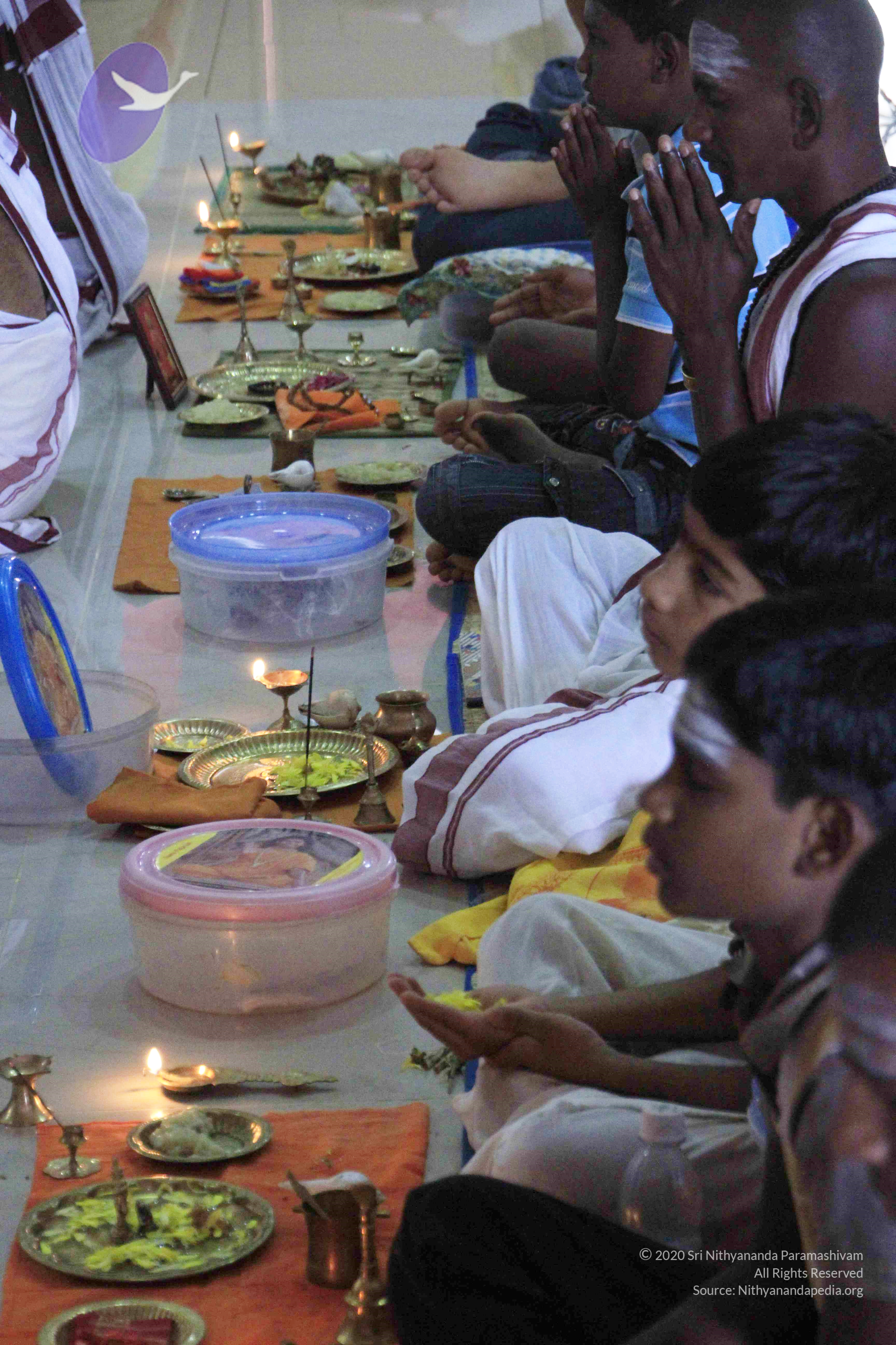 20110801_Photo_1061__MG_8668_CMP_WM