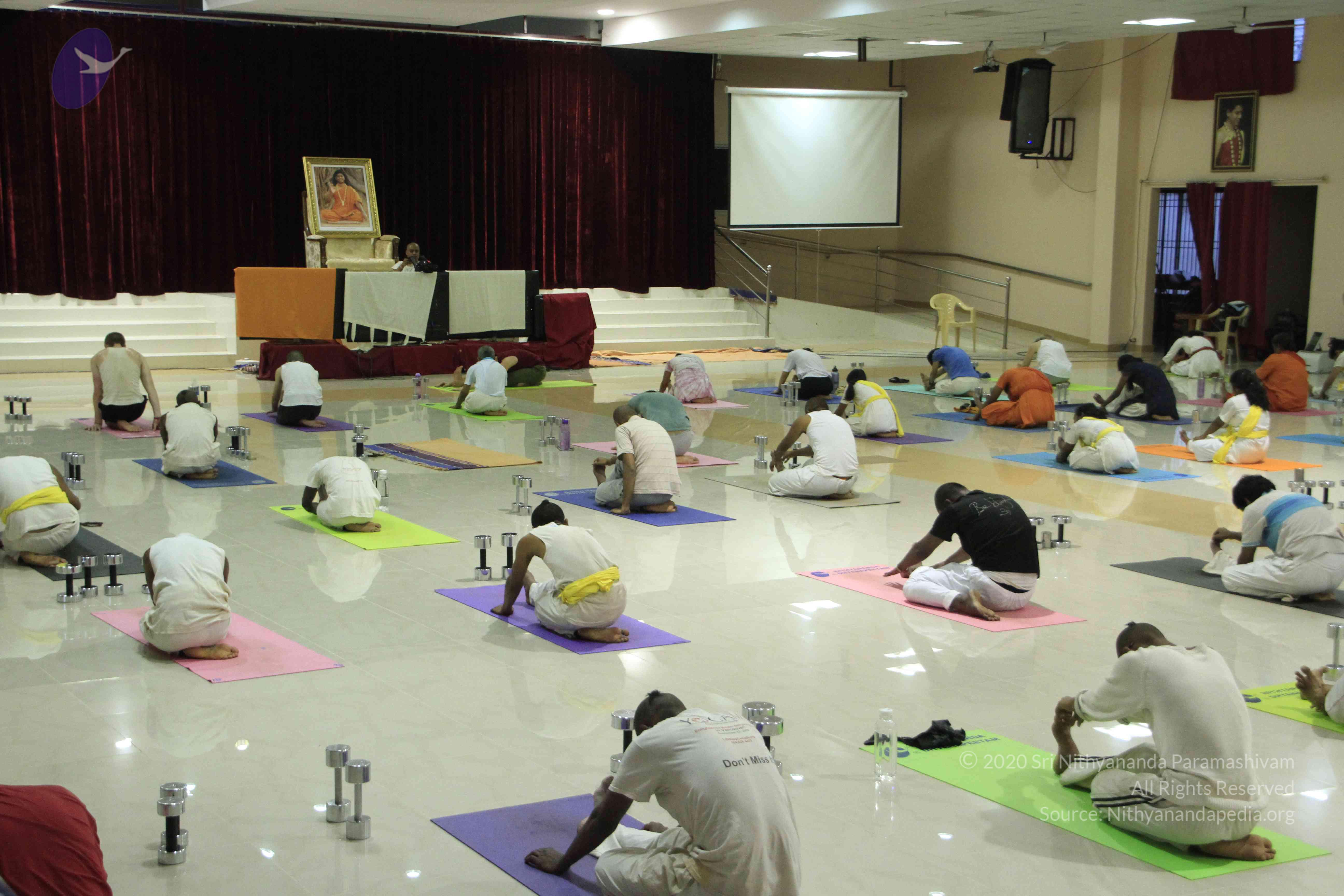 20110801_Photo_1062__MG_8554_CMP_WM