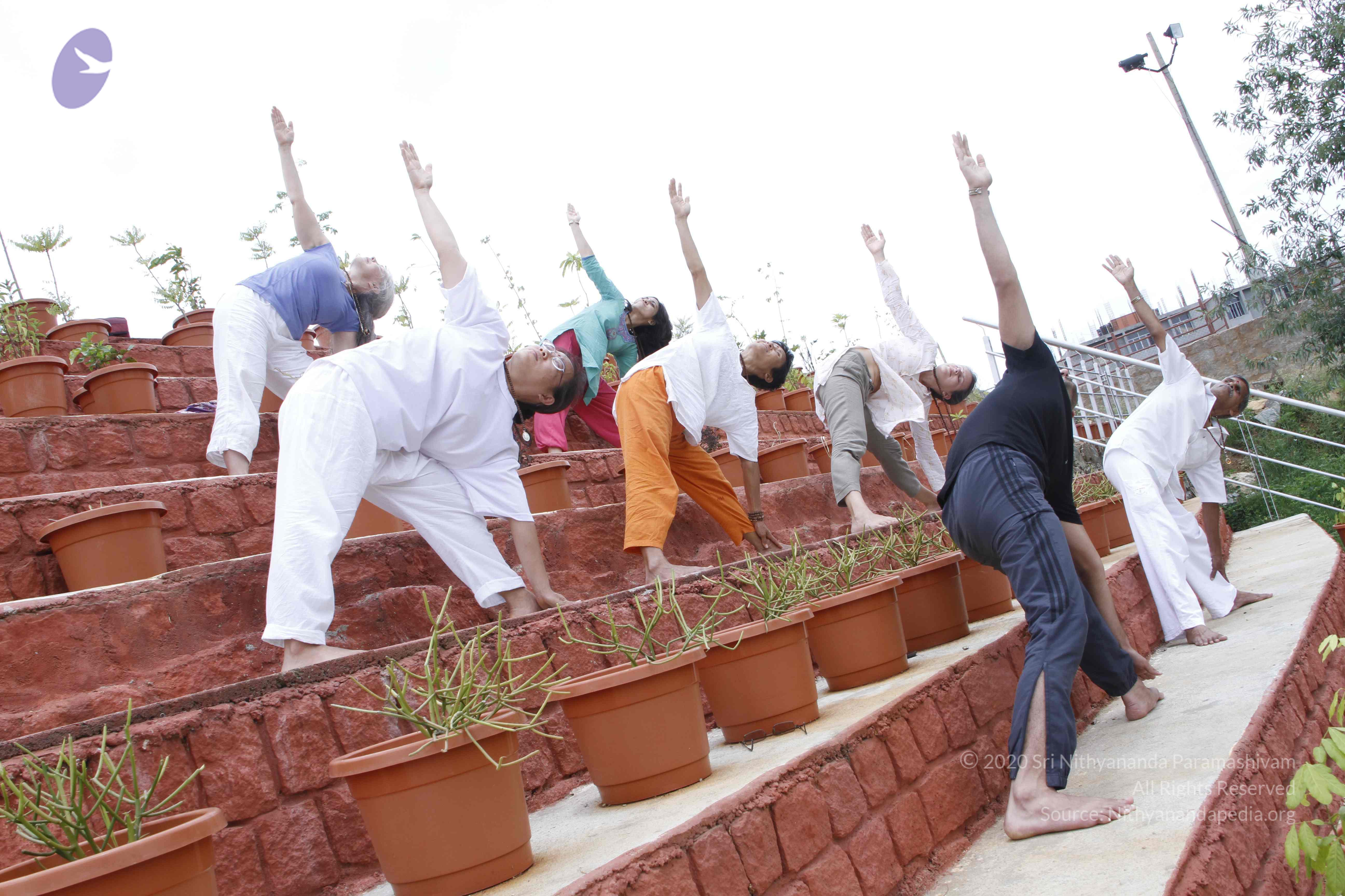 20110801_Photo_1063__MG_8729_CMP_WM