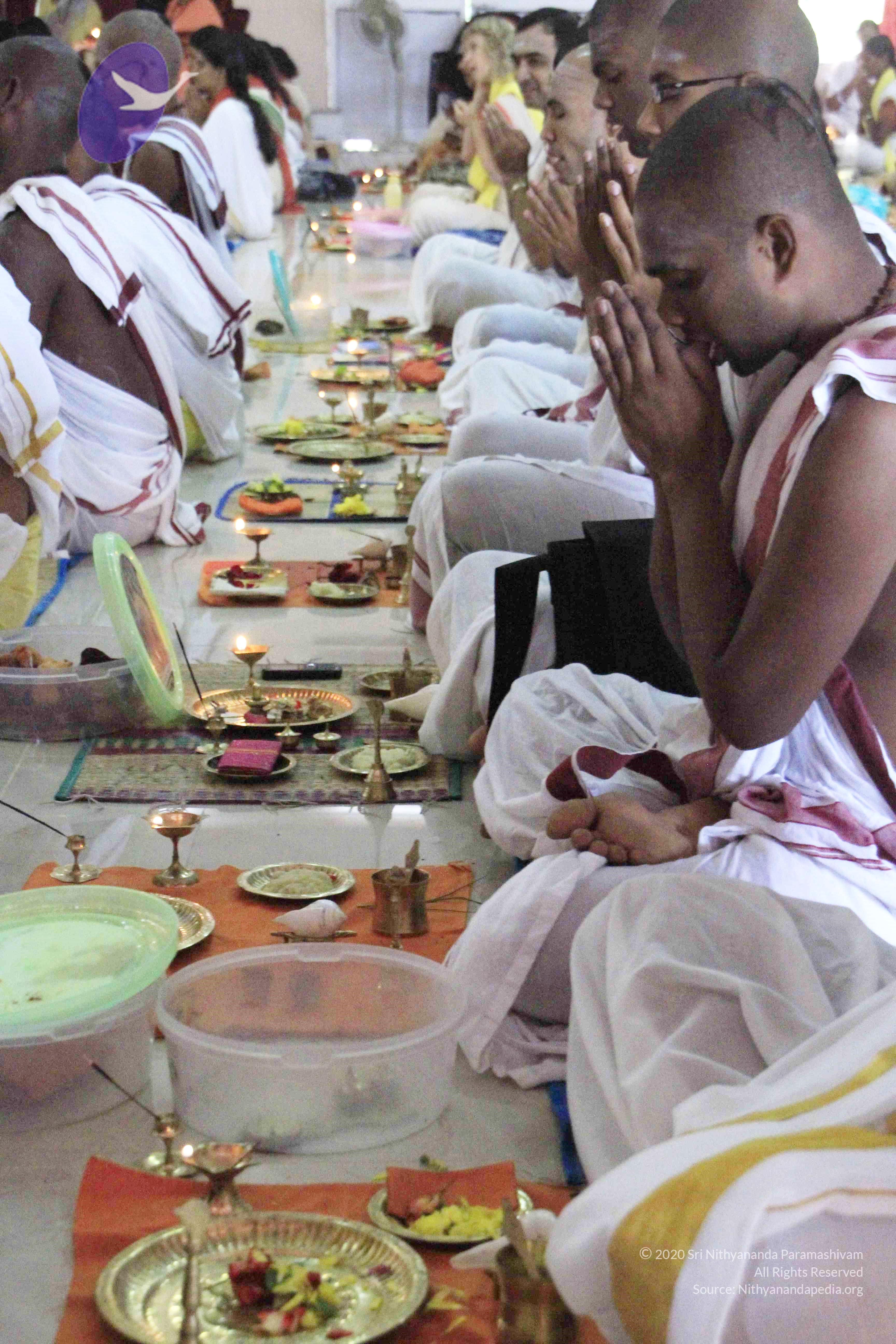 20110801_Photo_1068__MG_8671_CMP_WM