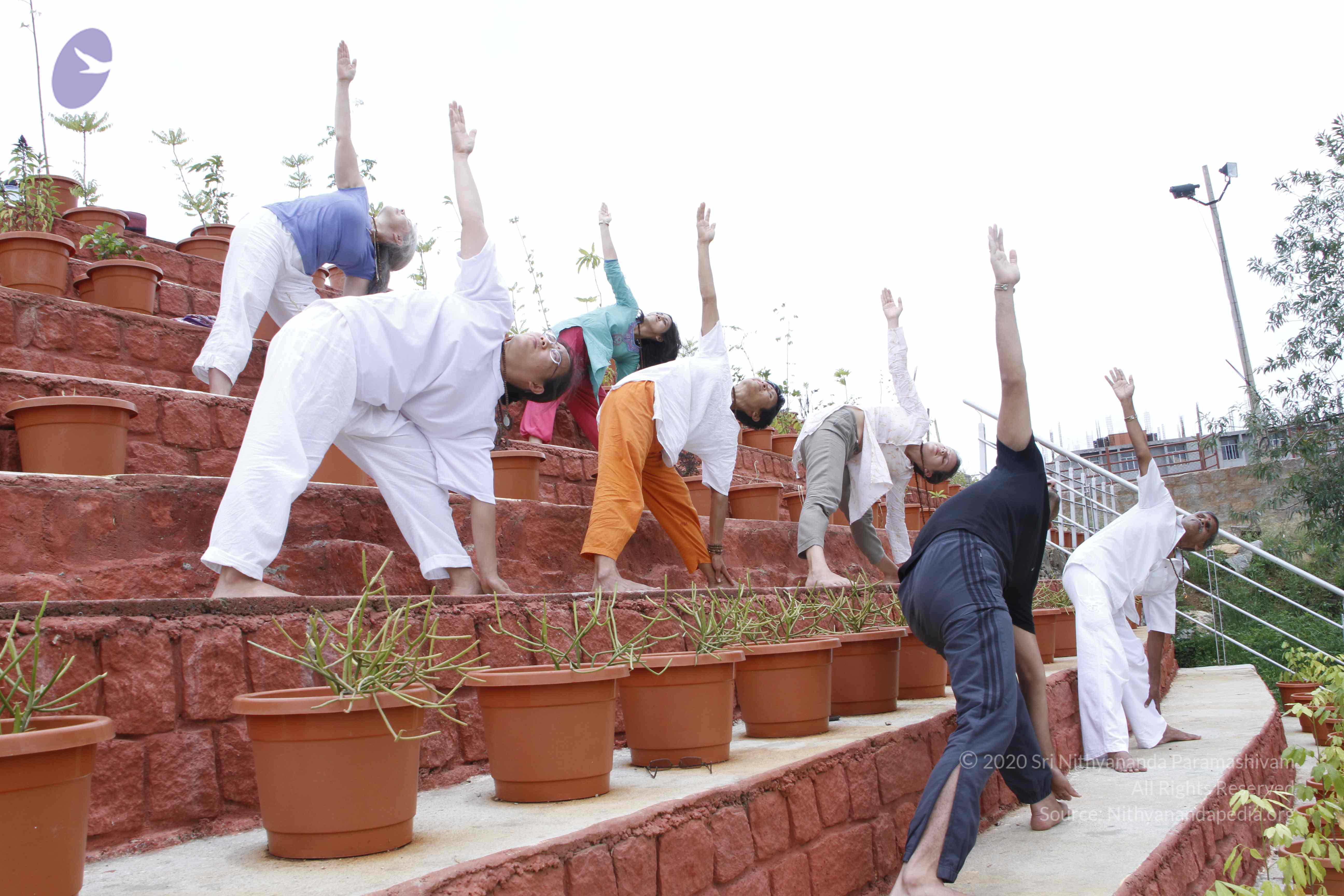 20110801_Photo_1069__MG_8730_CMP_WM