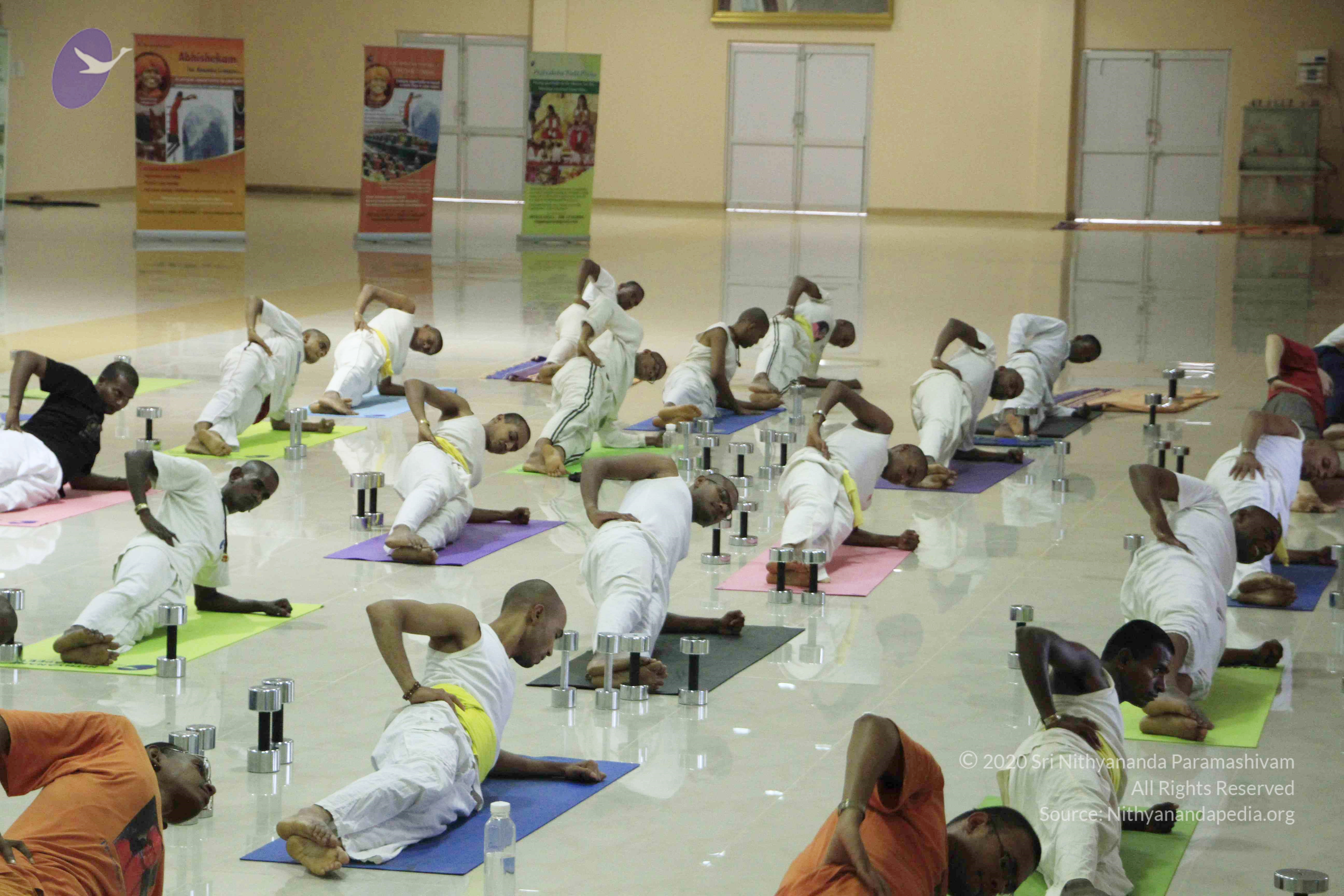 20110801_Photo_1072__MG_8599_CMP_WM