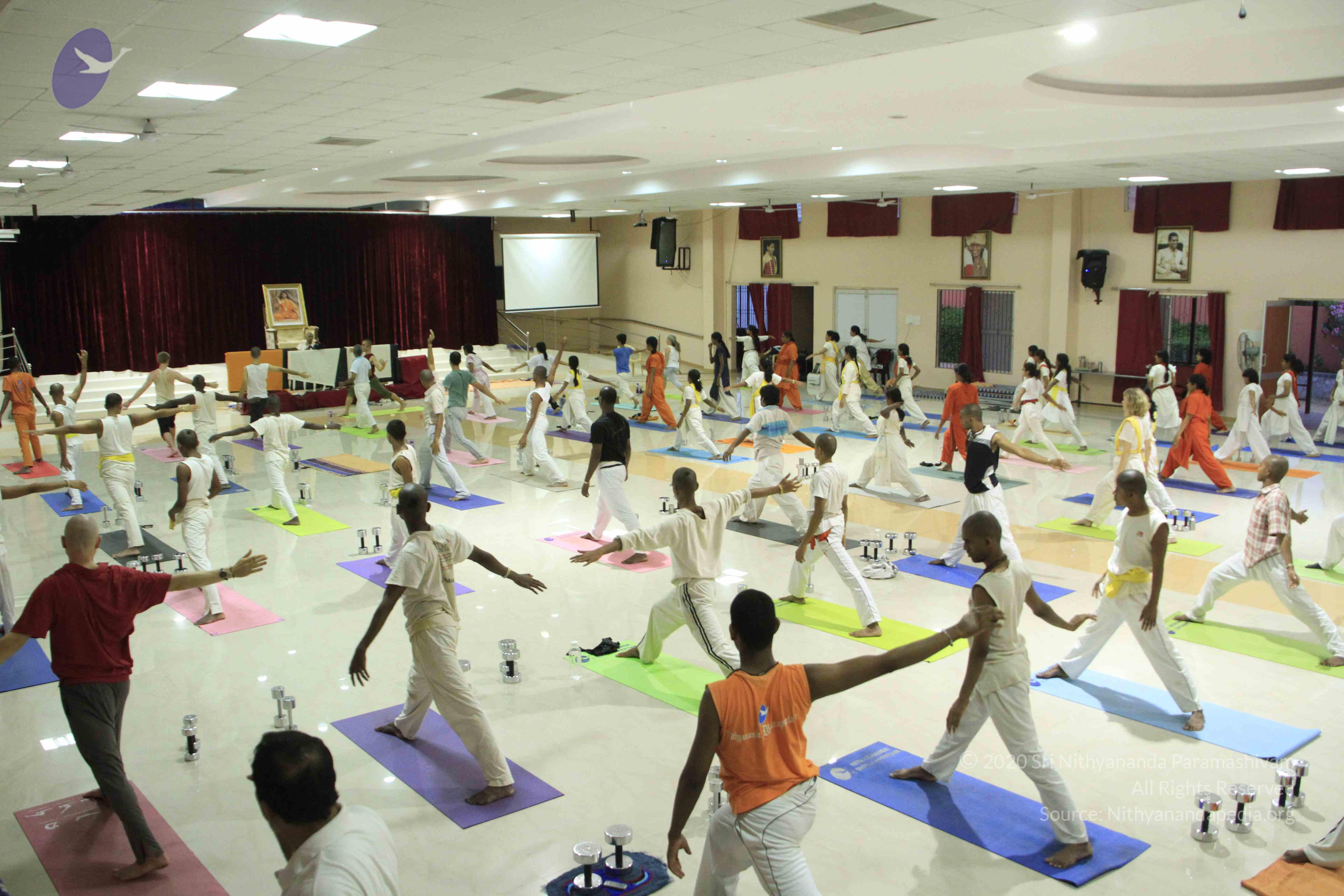 20110801_Photo_1074__MG_8551_CMP_WM