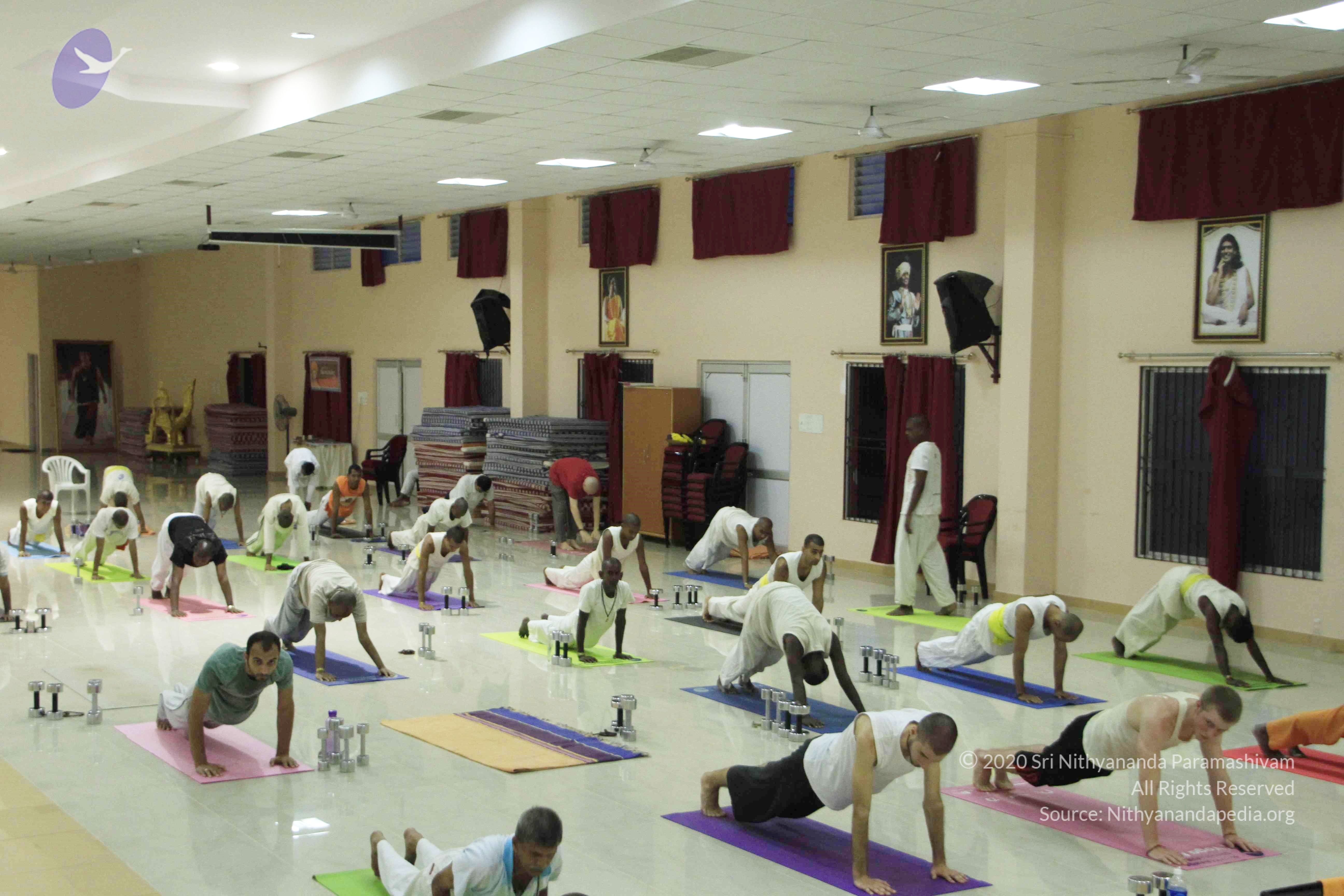 20110801_Photo_1076__MG_8515_CMP_WM