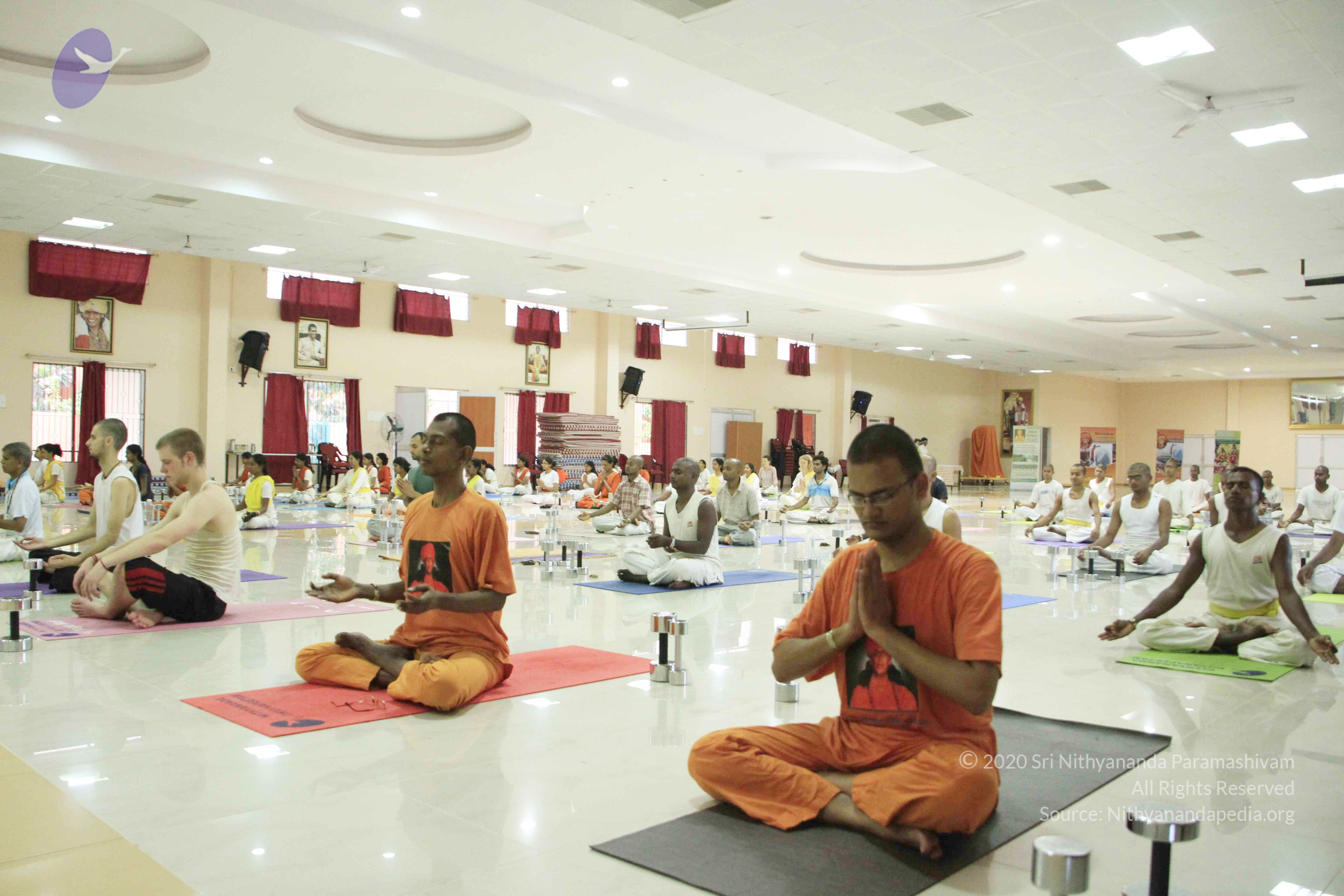 20110801_Photo_1077__MG_8602_CMP_WM