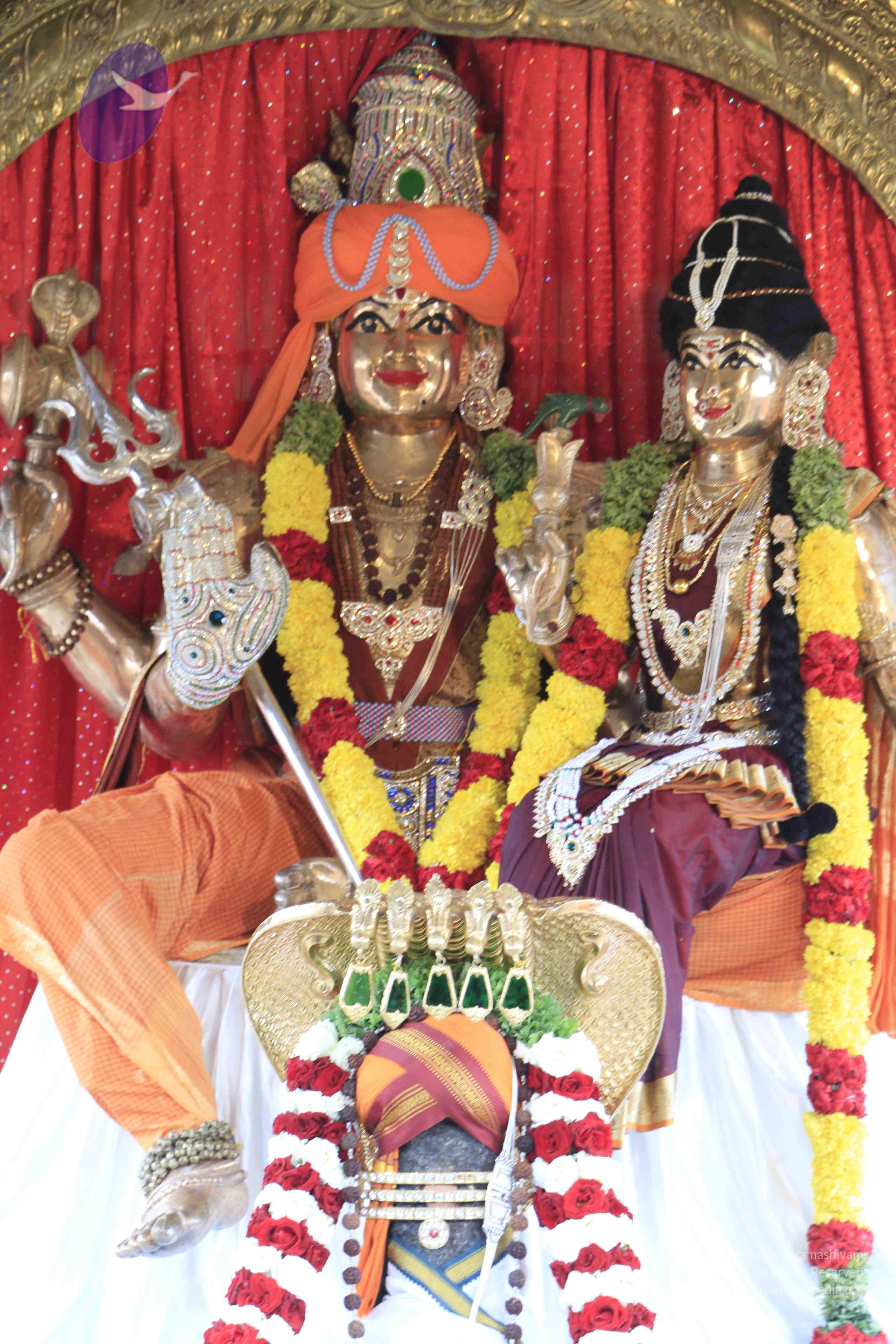 20110801_Photo_1078__MG_8635_CMP_WM