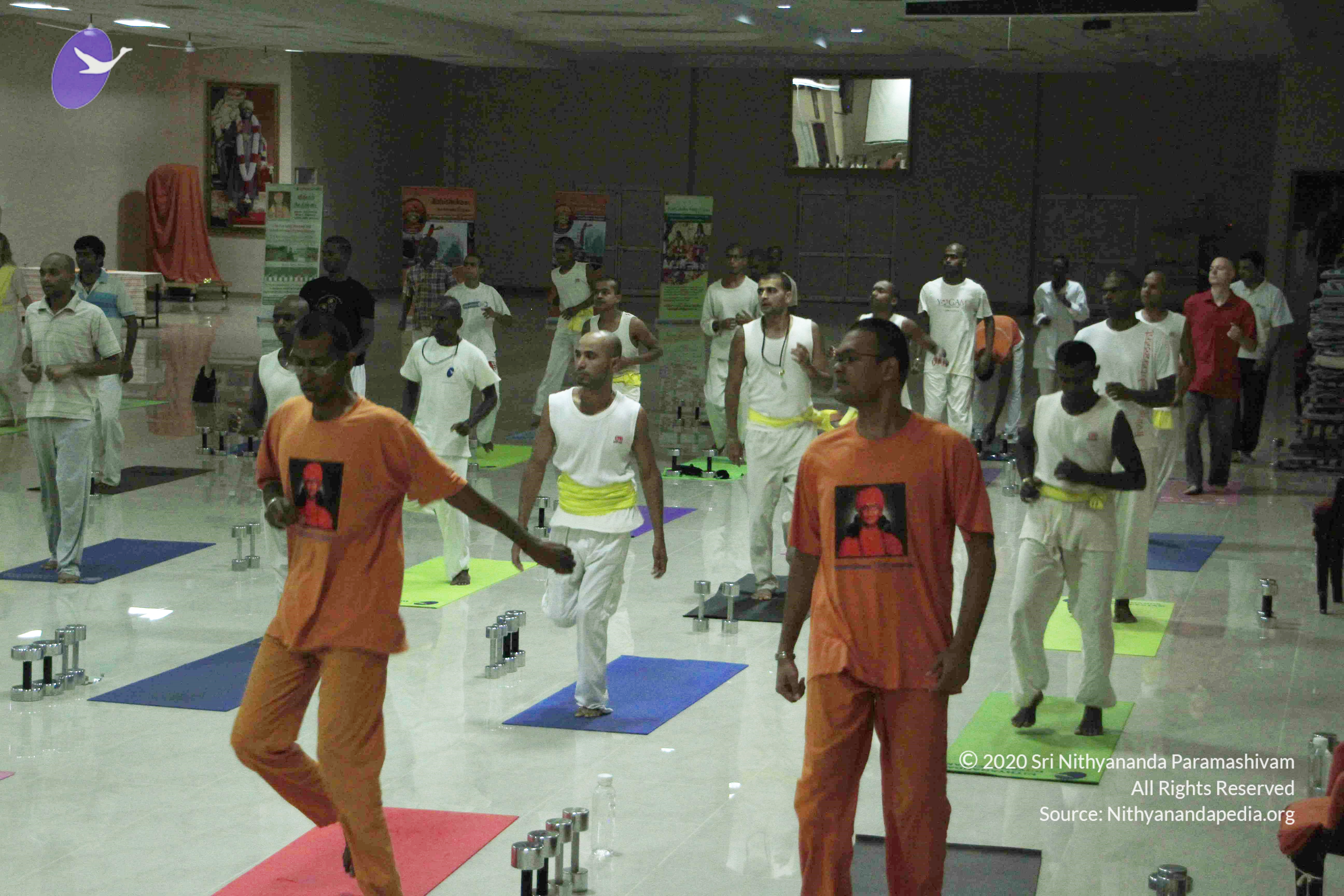 20110801_Photo_1081__MG_8509_CMP_WM