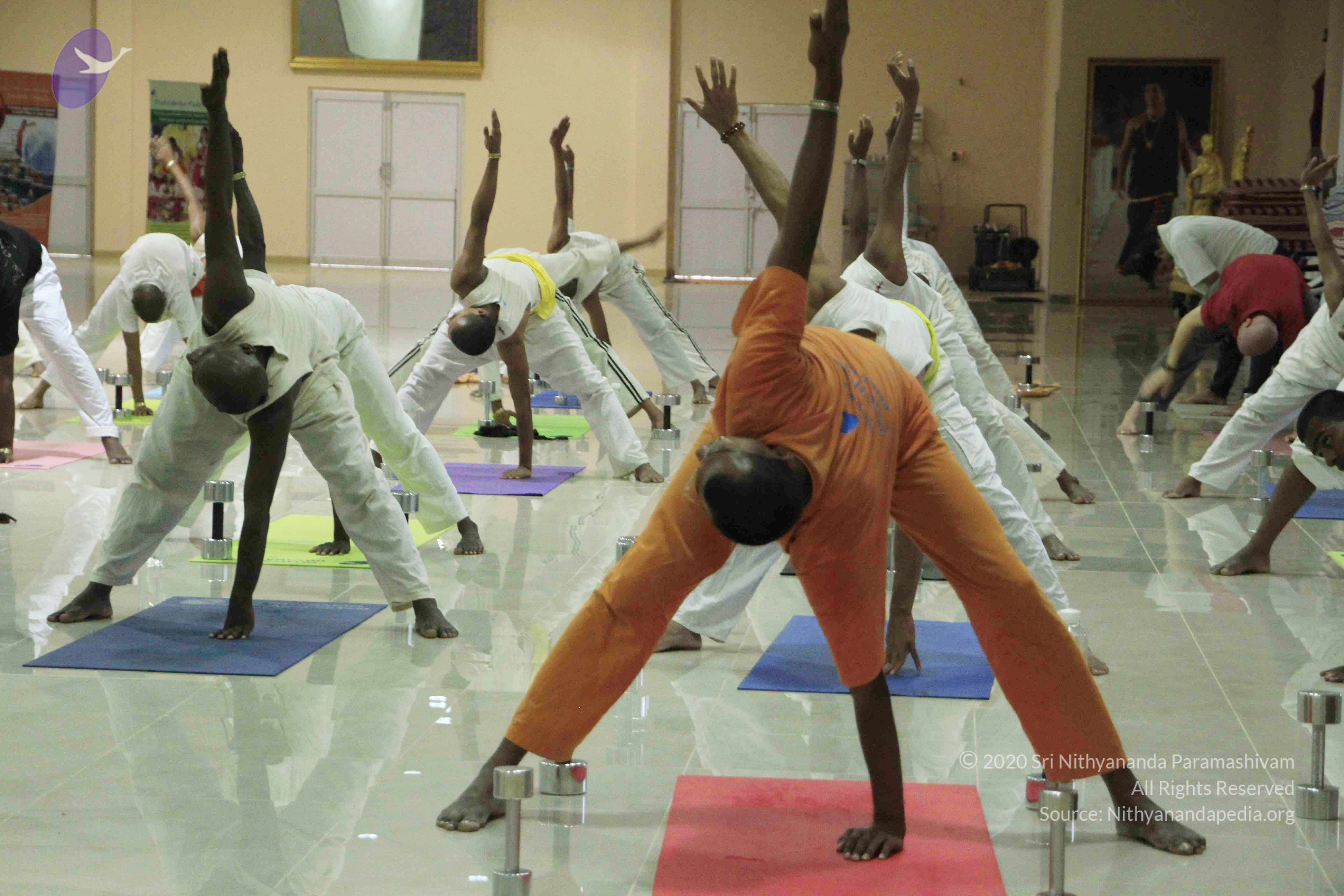 20110801_Photo_1083__MG_8594_CMP_WM