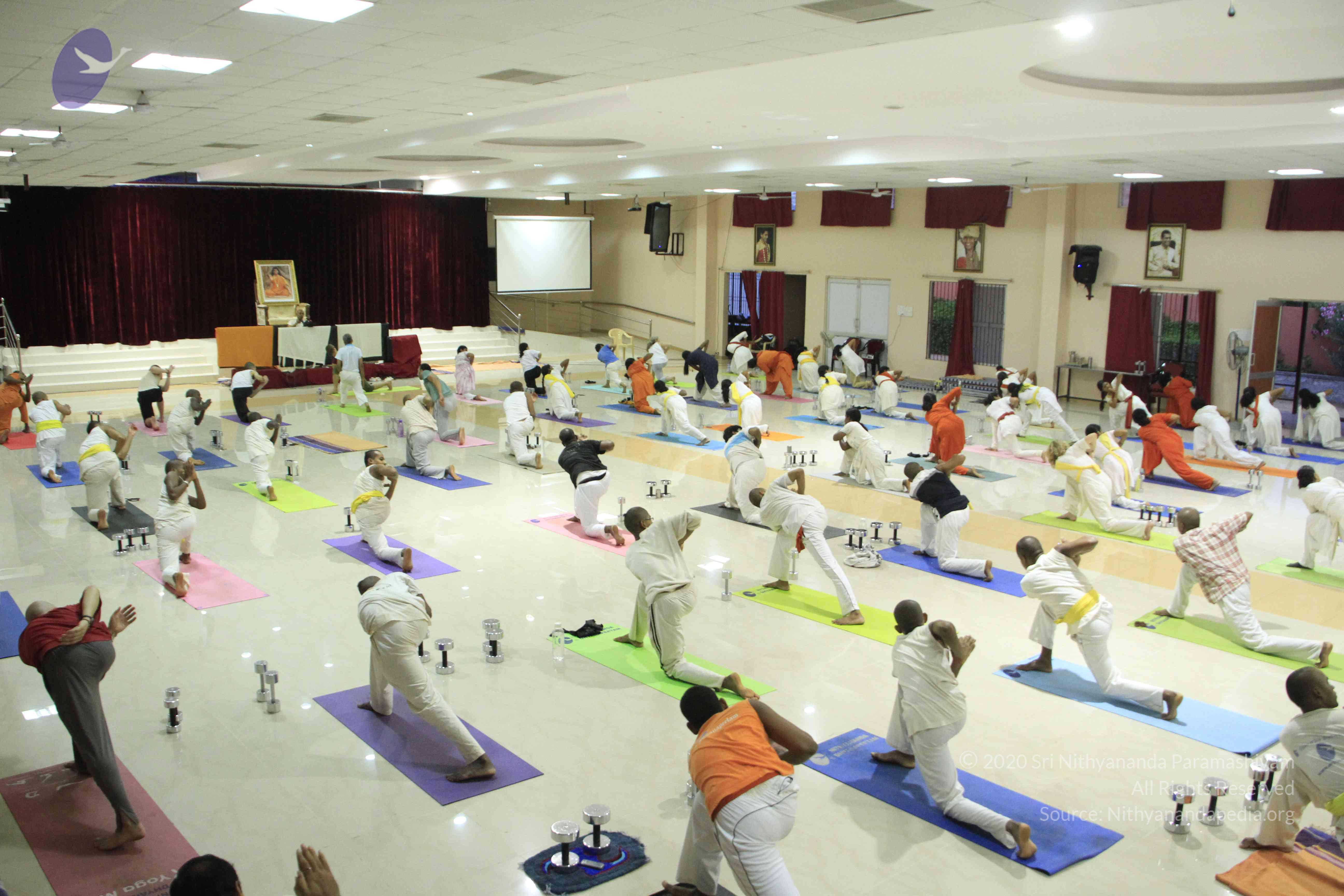 20110801_Photo_1085__MG_8552_CMP_WM