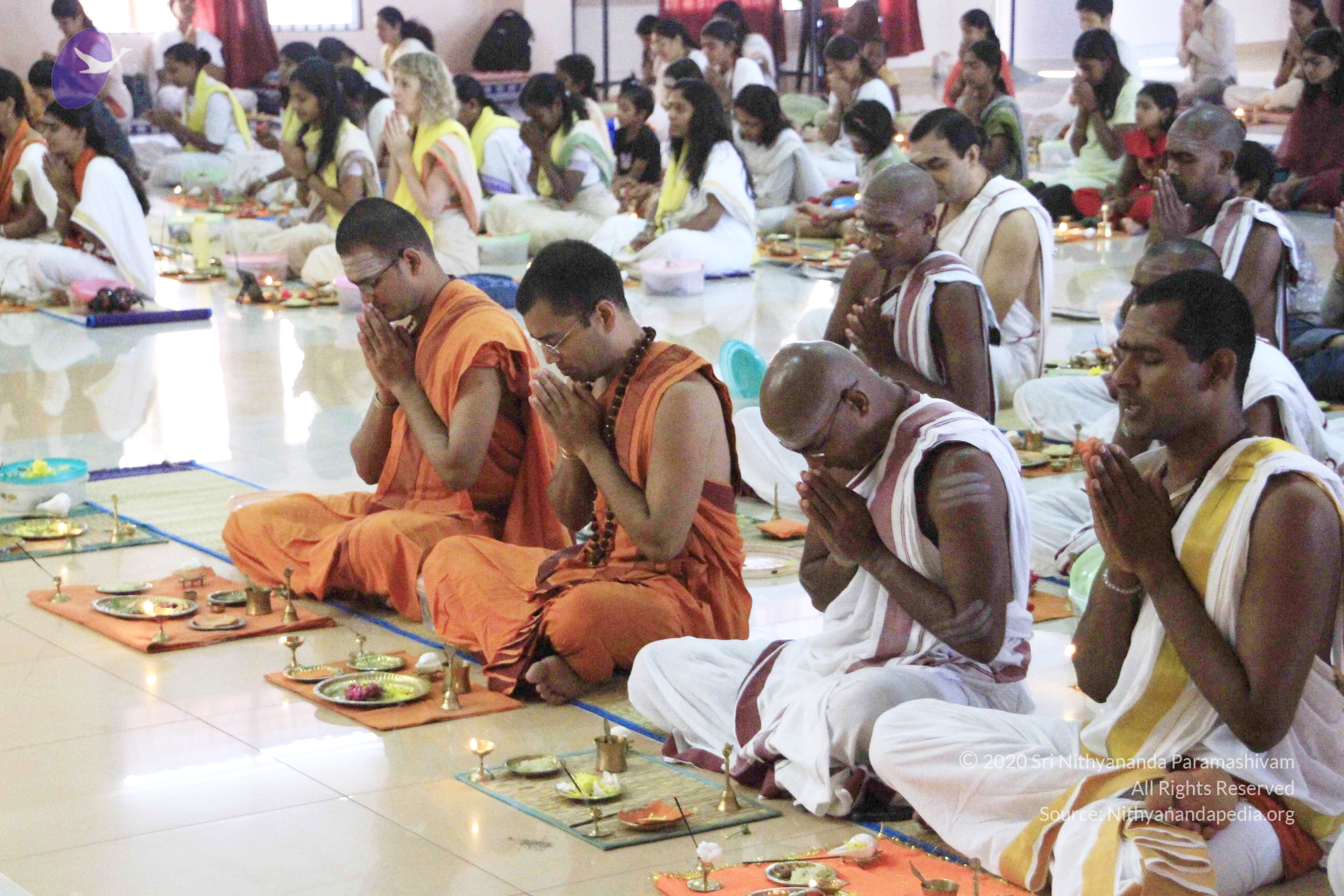 20110801_Photo_1089__MG_8672_CMP_WM