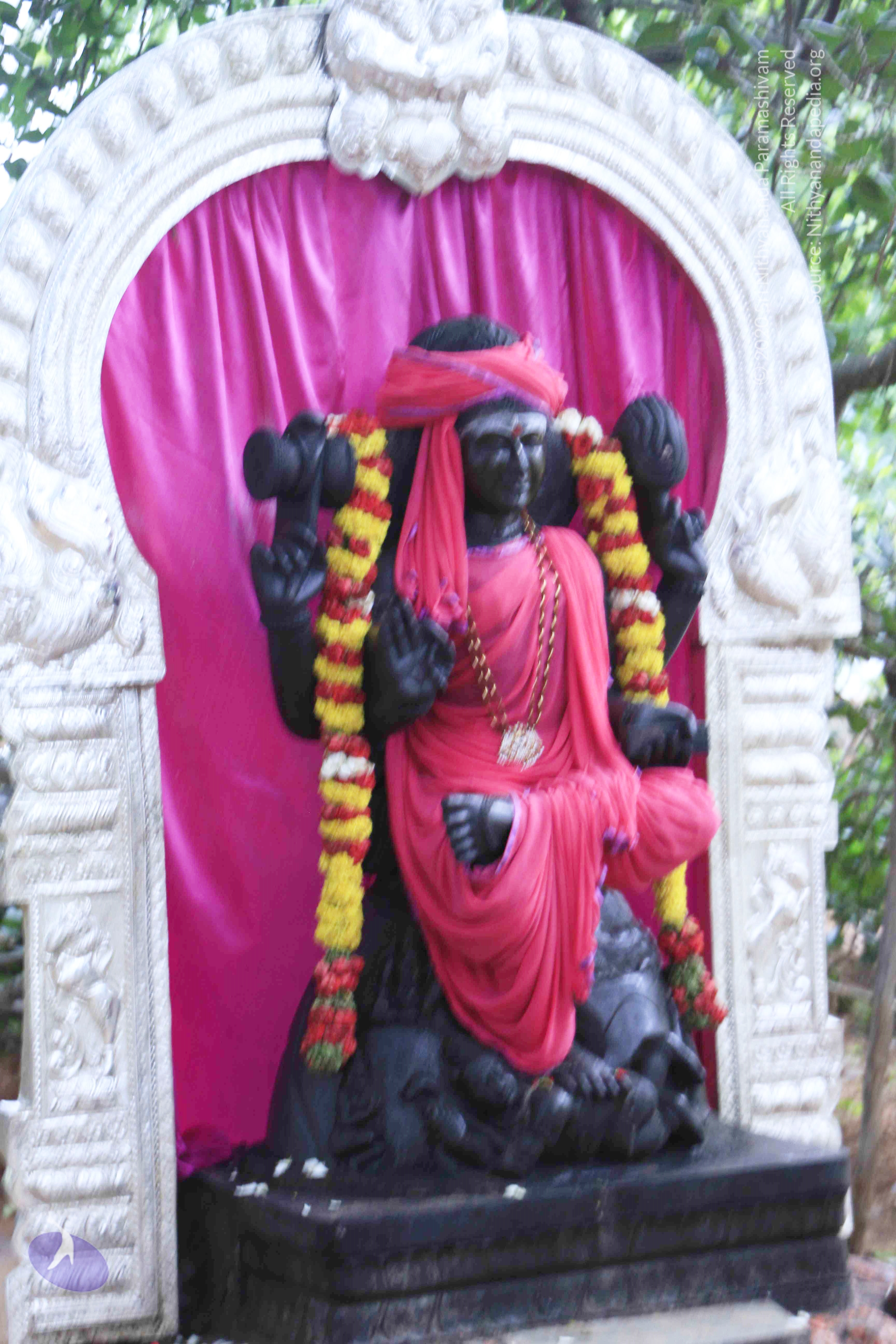 20110801_Photo_1090__MG_8645_CMP_WM