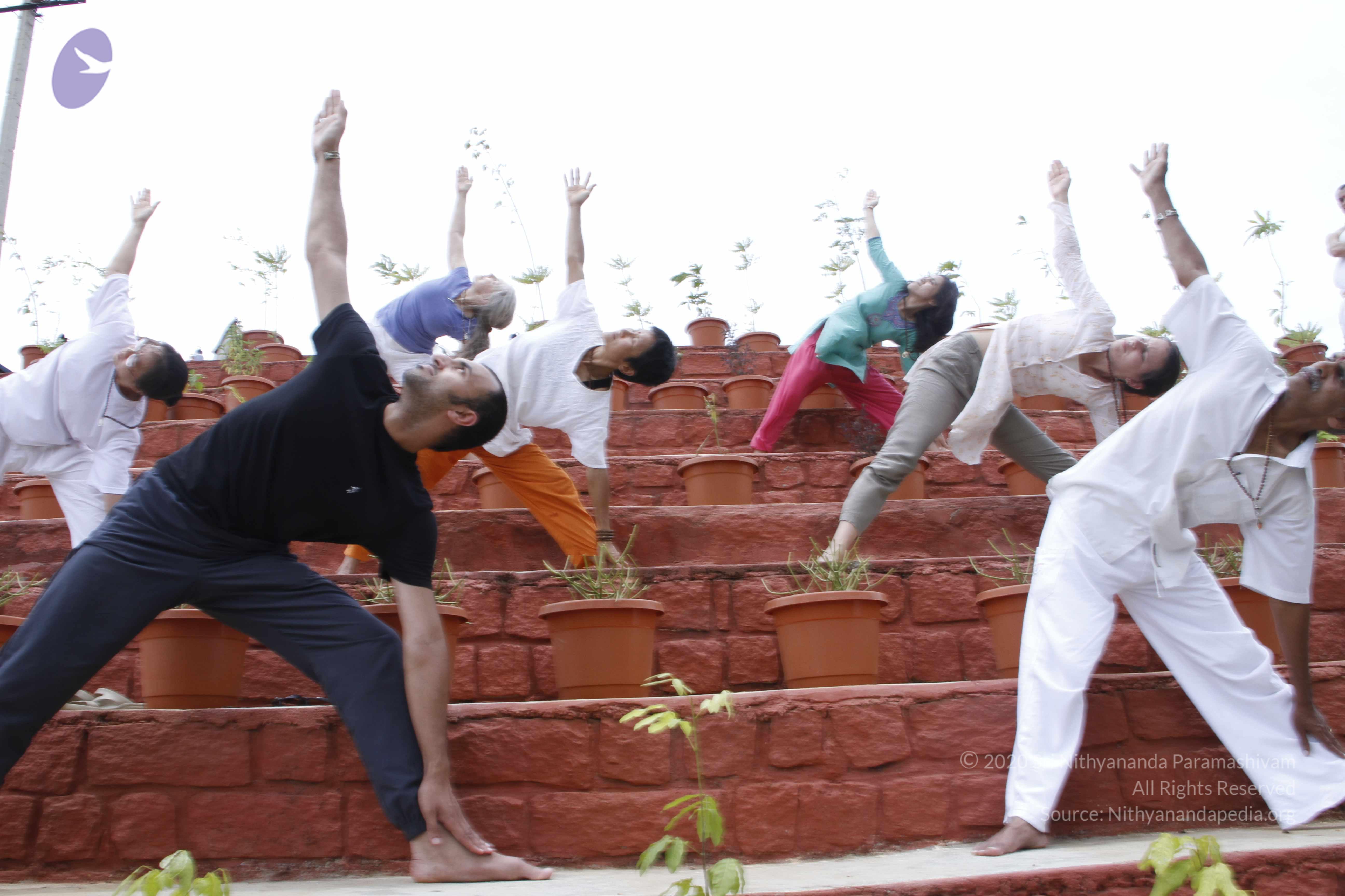 20110801_Photo_1095__MG_8722_CMP_WM