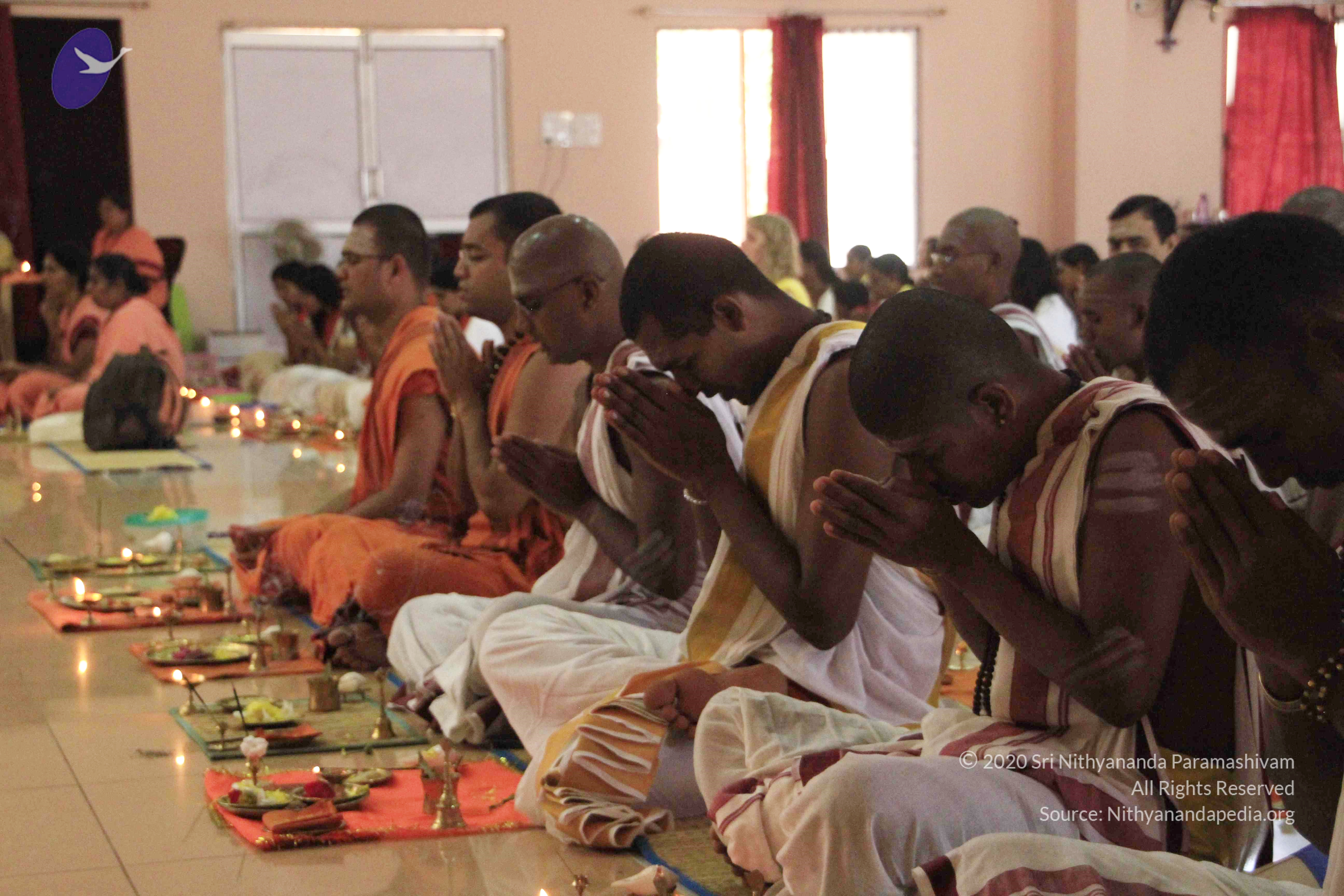 20110801_Photo_1097__MG_8663_CMP_WM