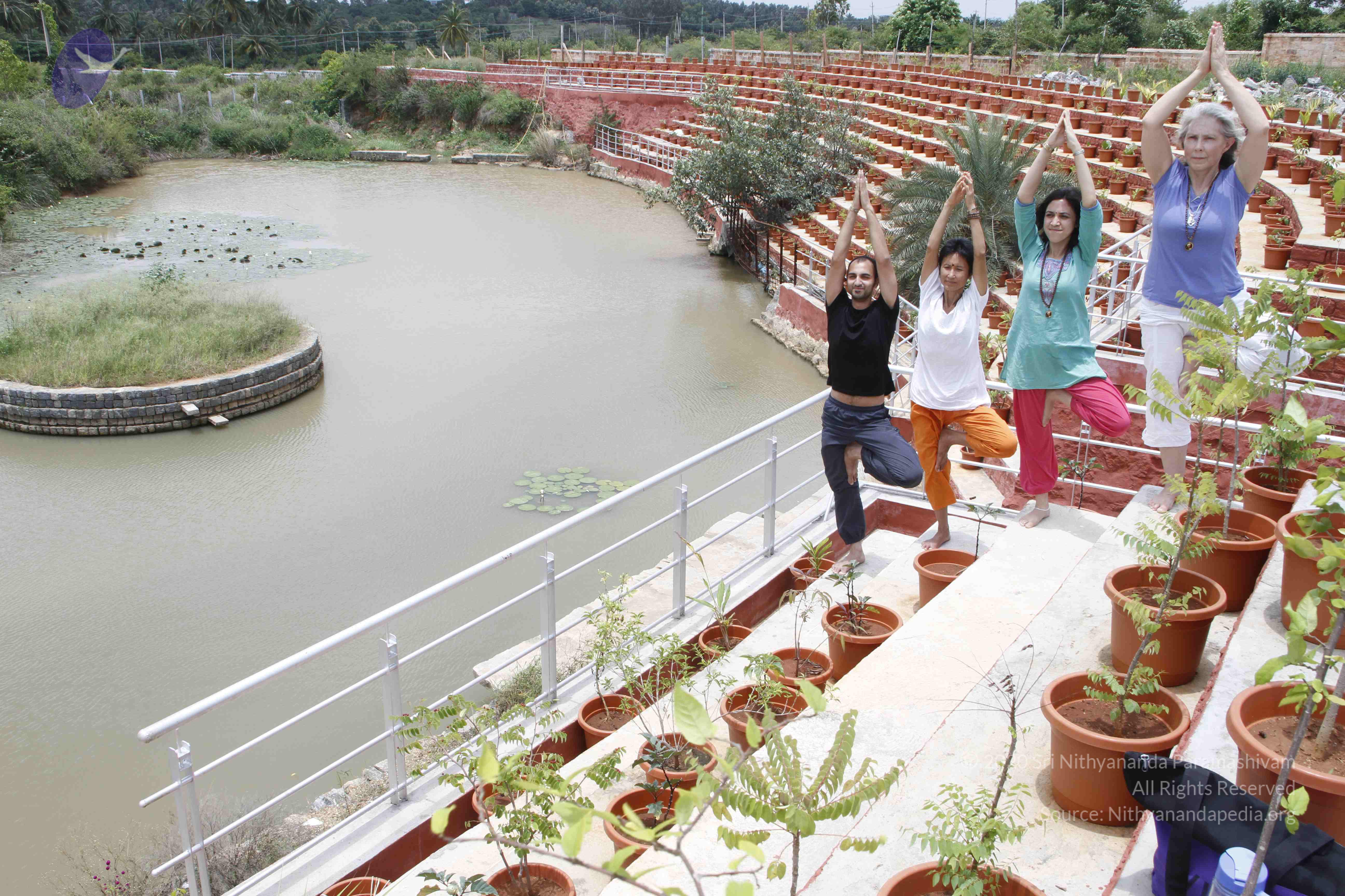 20110801_Photo_1098__MG_8740_CMP_WM