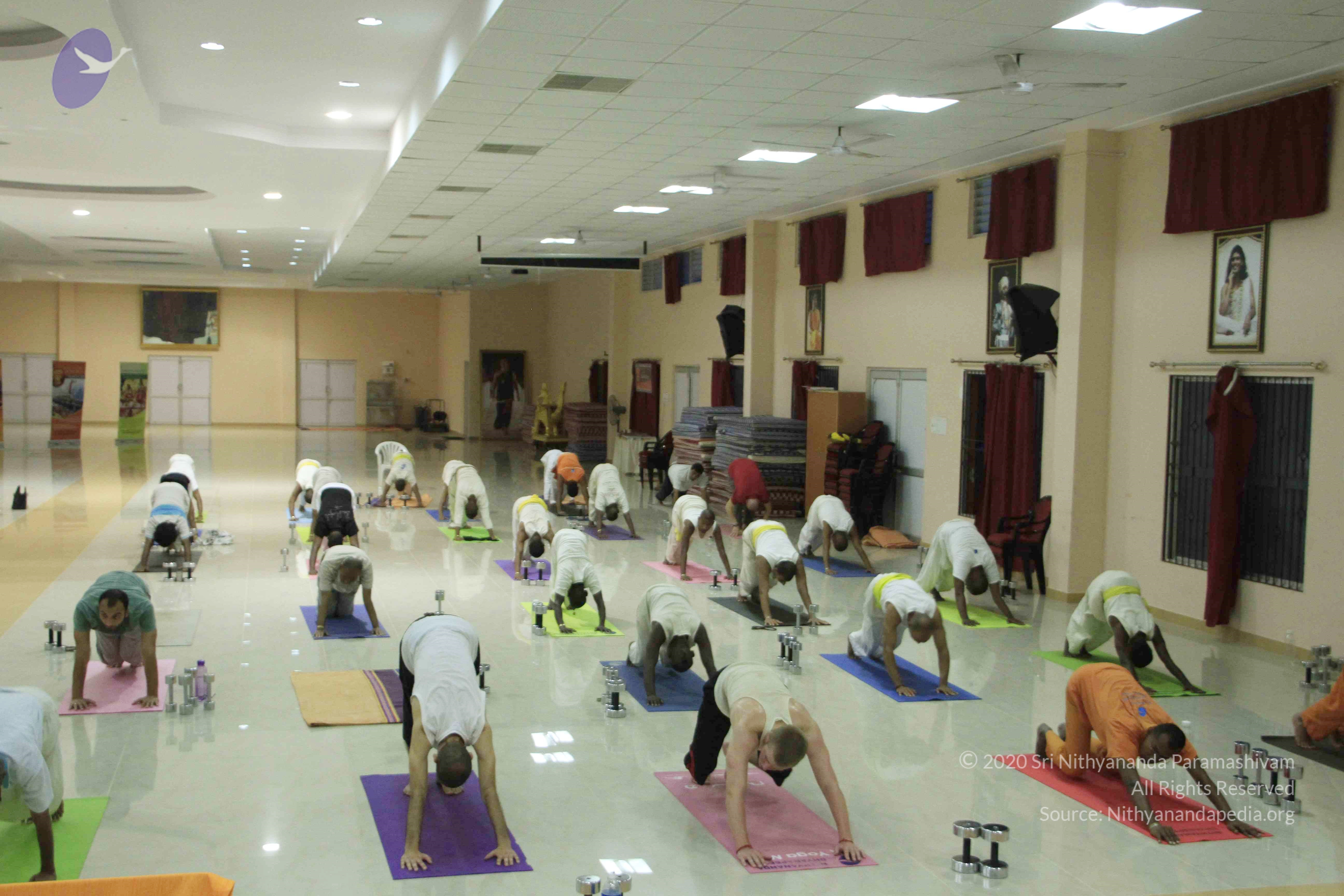 20110801_Photo_1102__MG_8516_CMP_WM