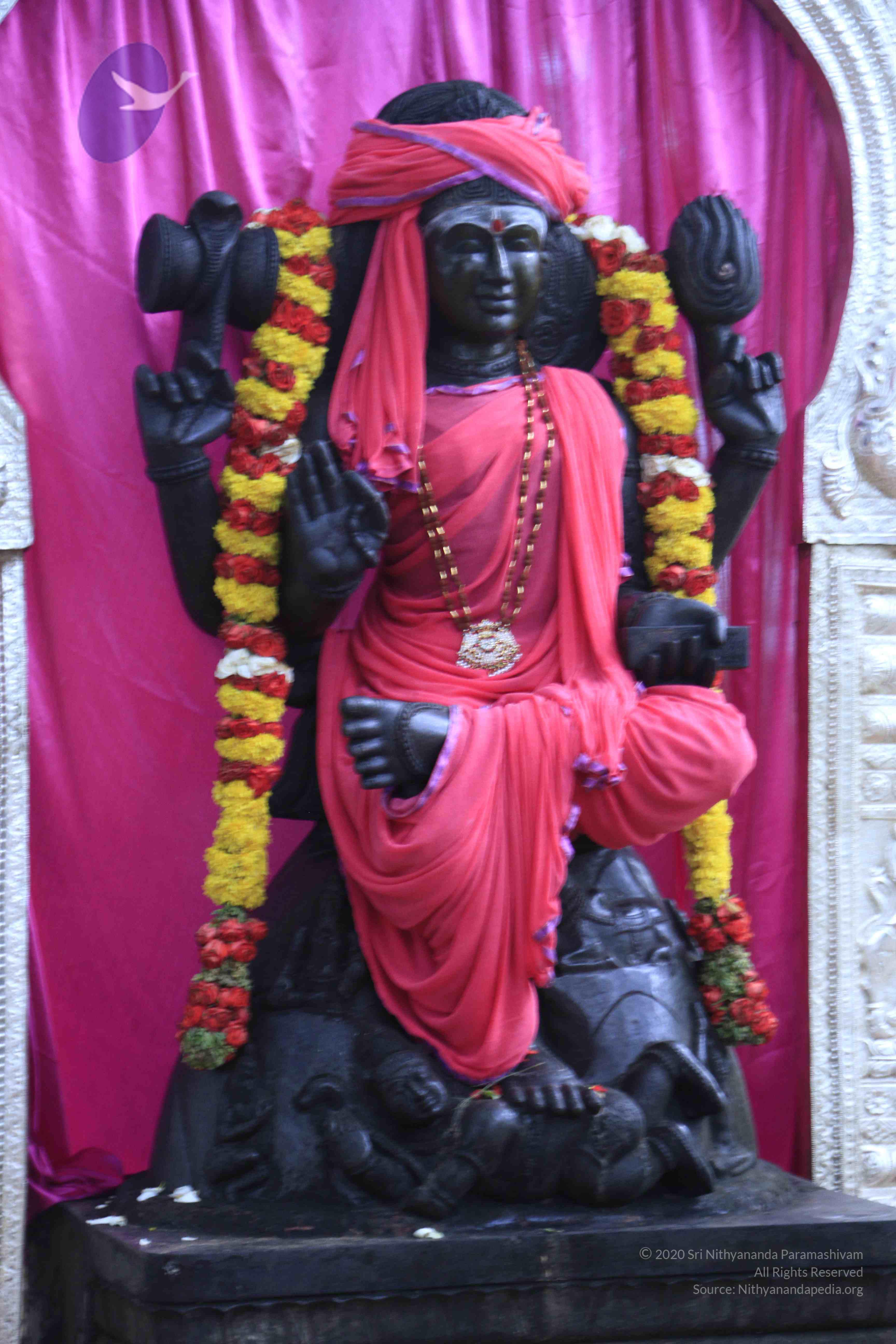 20110801_Photo_1103__MG_8648_CMP_WM