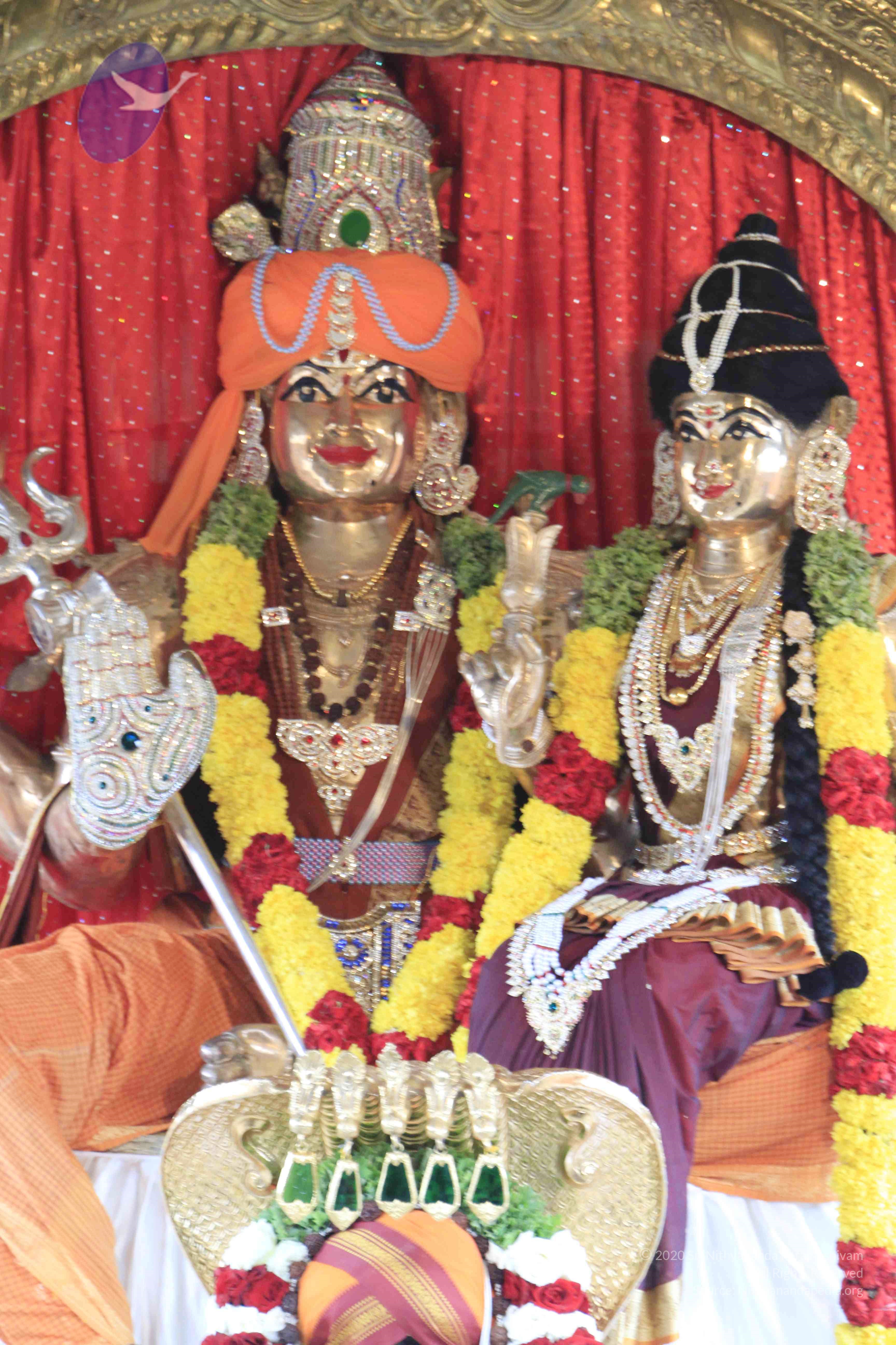 20110801_Photo_1105__MG_8633_CMP_WM