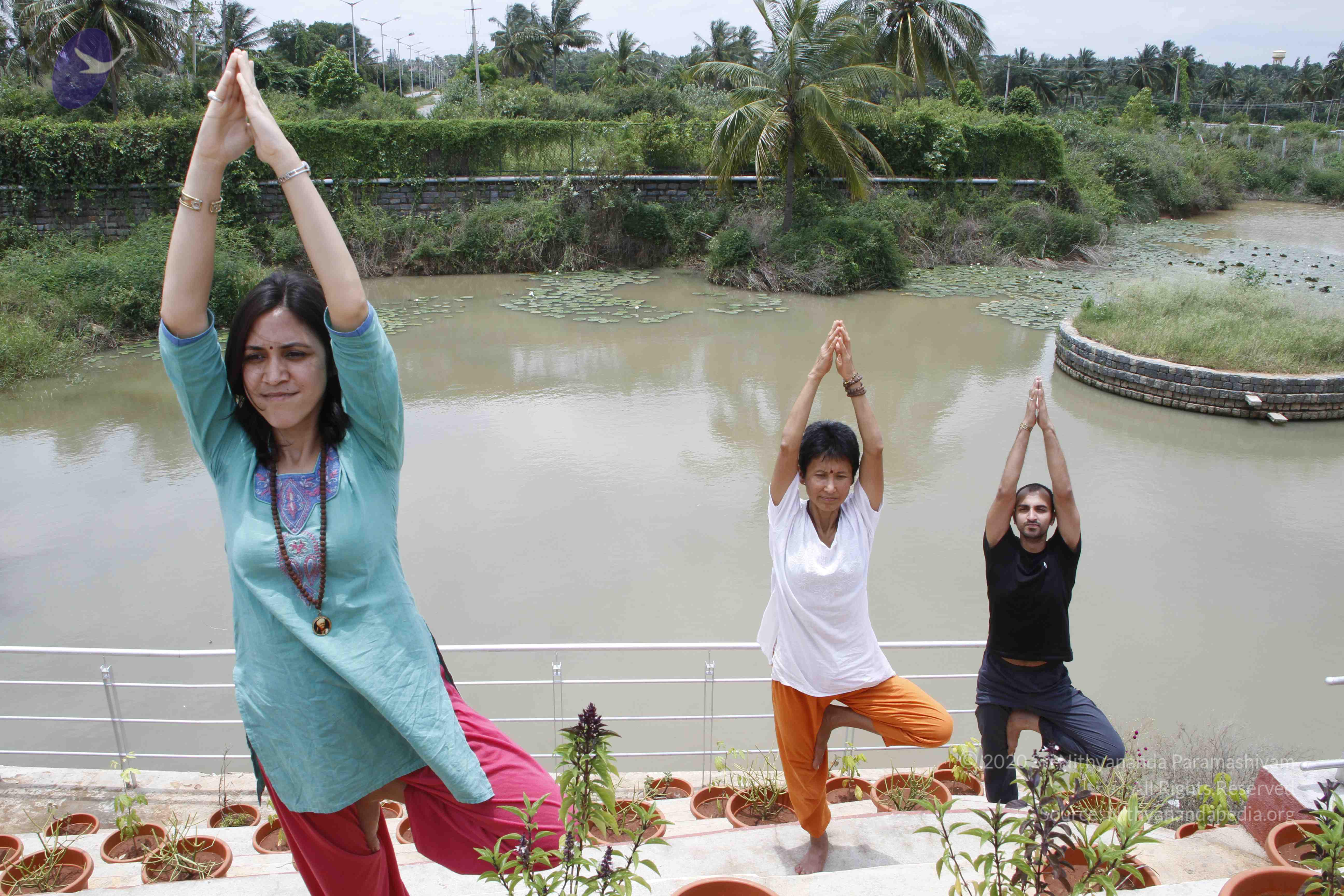 20110801_Photo_1106__MG_8745_CMP_WM