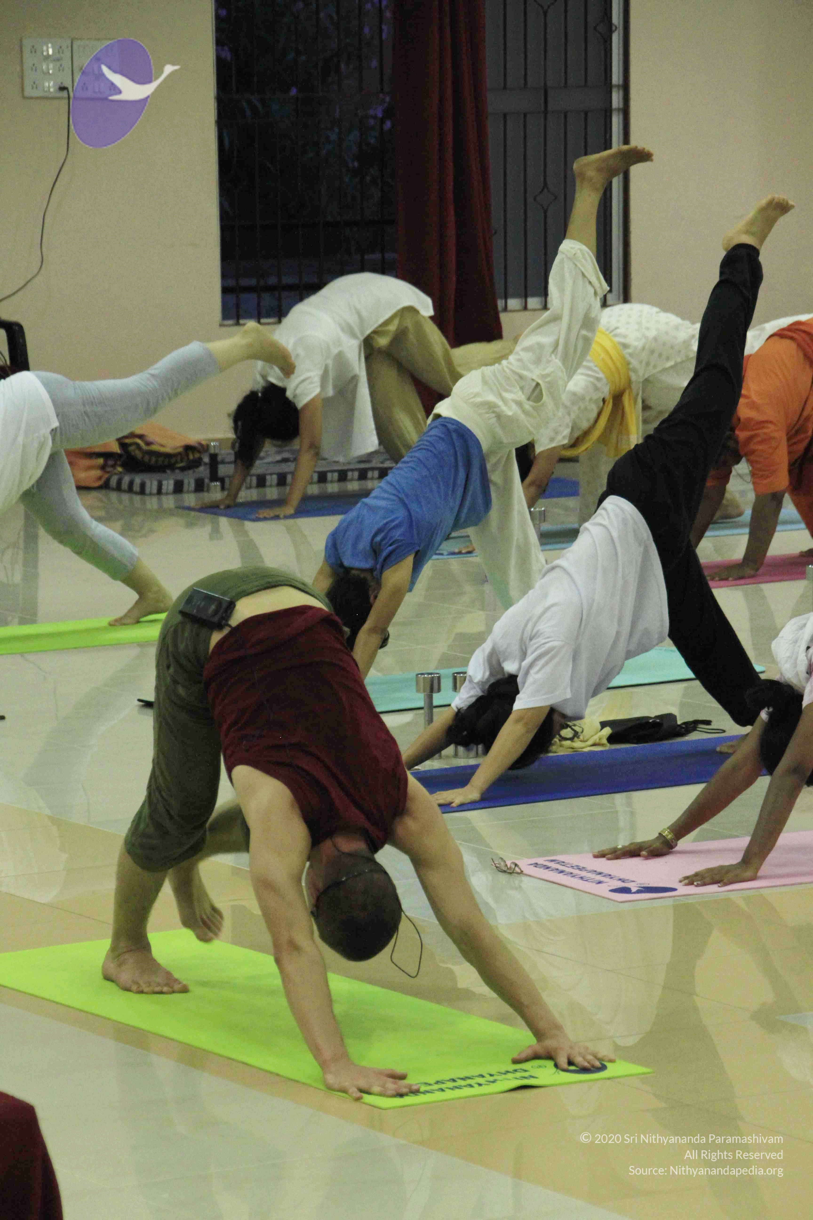 20110801_Photo_1107__MG_8538_CMP_WM