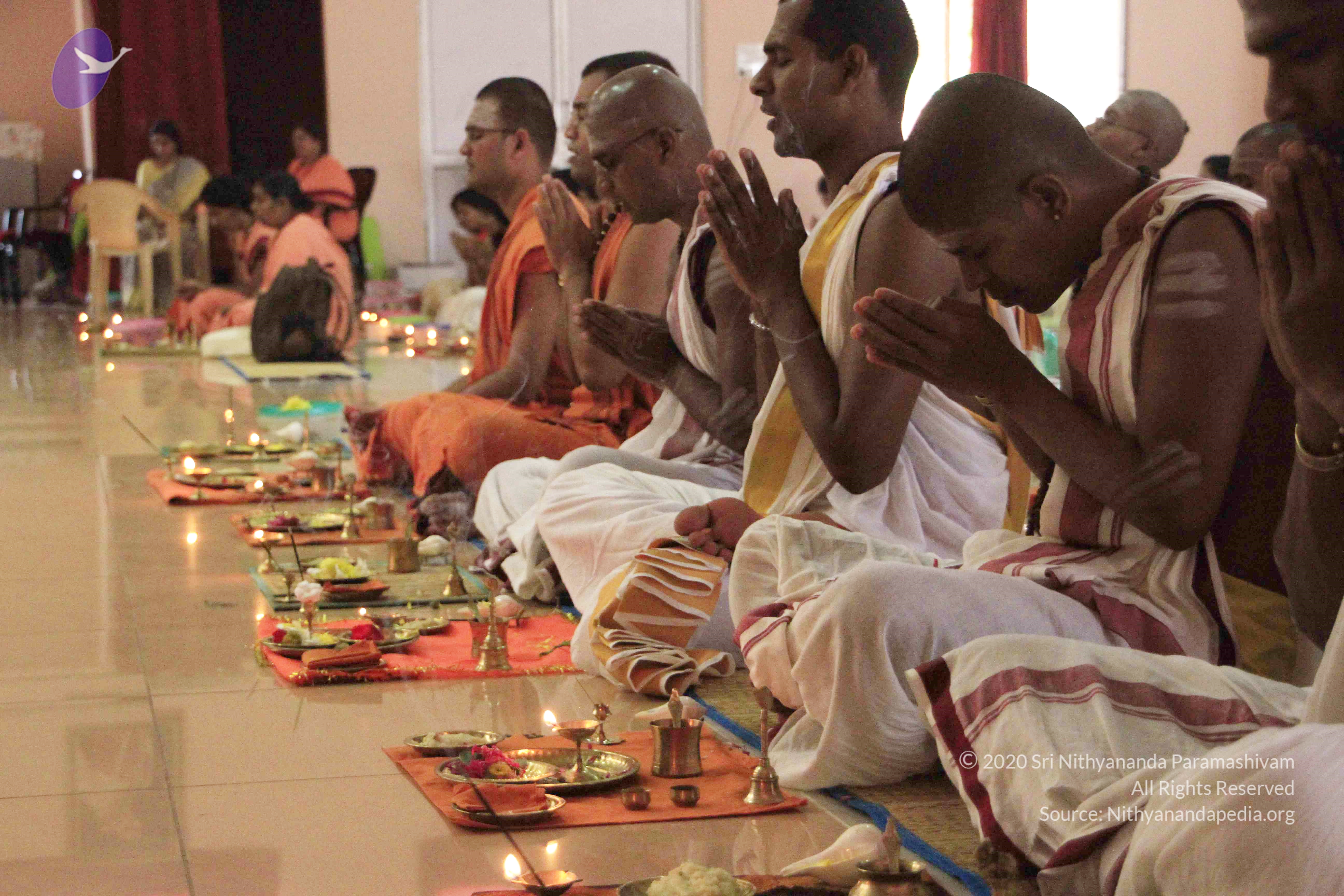 20110801_Photo_1108__MG_8666_CMP_WM