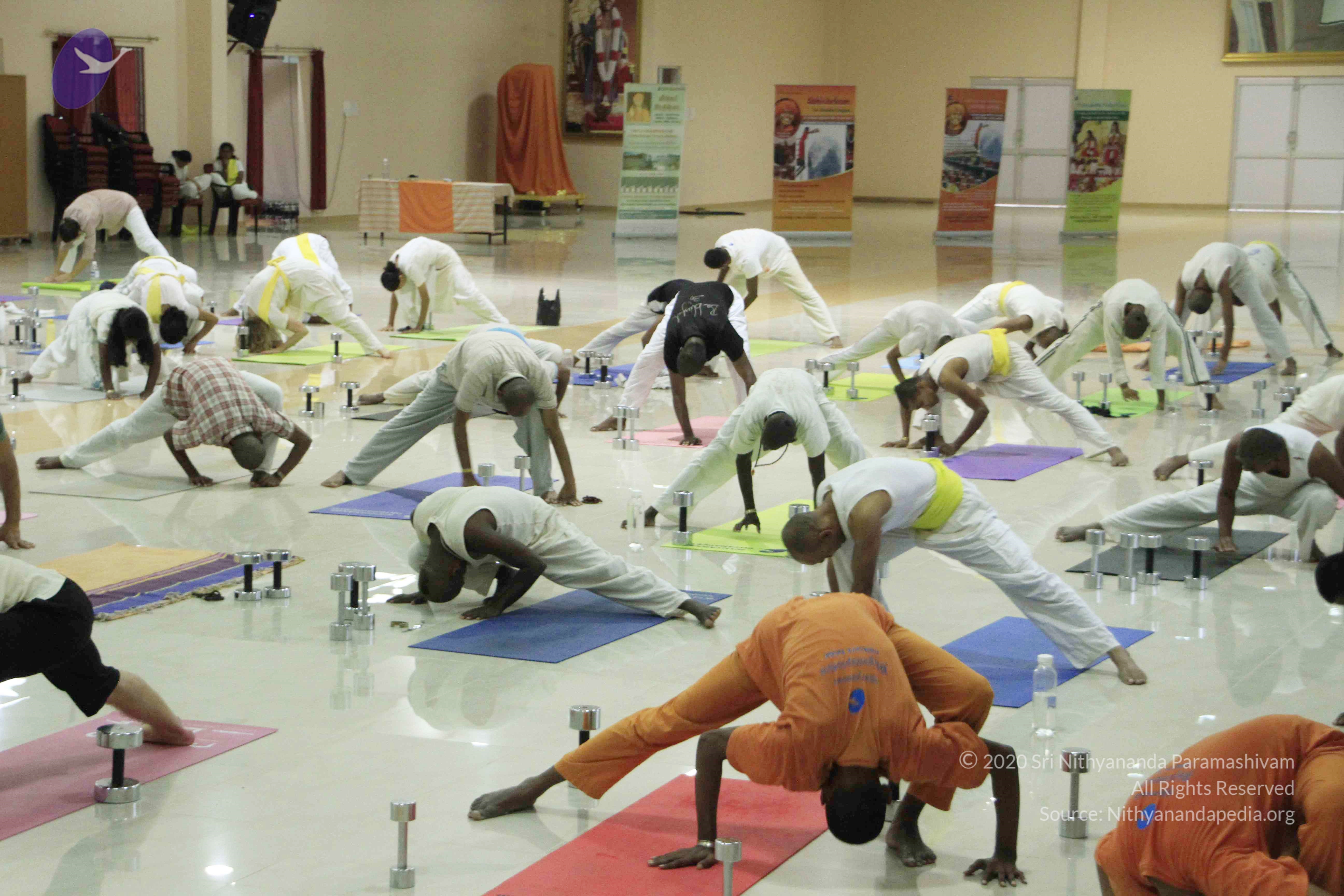 20110801_Photo_1111__MG_8592_CMP_WM