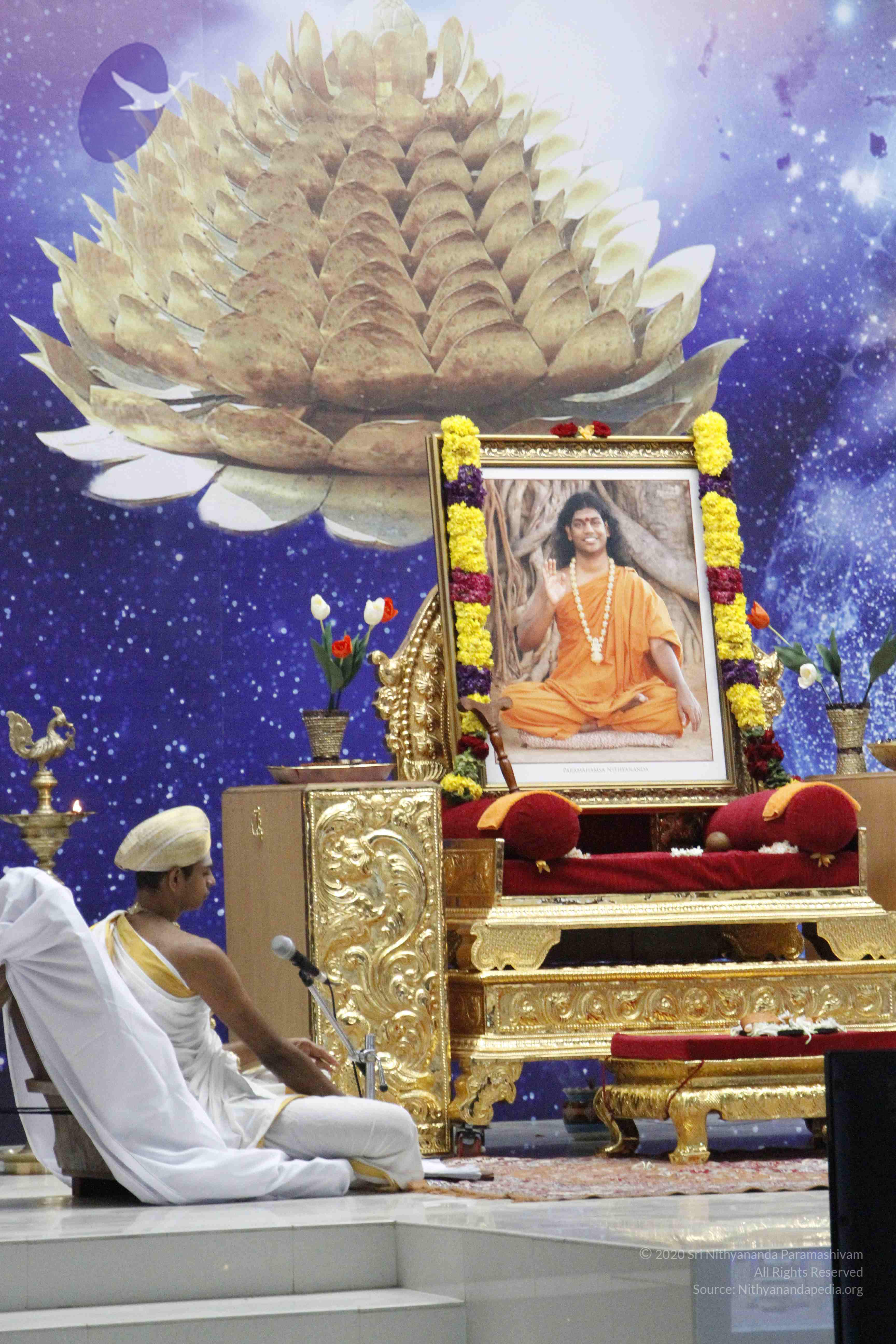 20110801_Photo_1114__MG_8685_CMP_WM