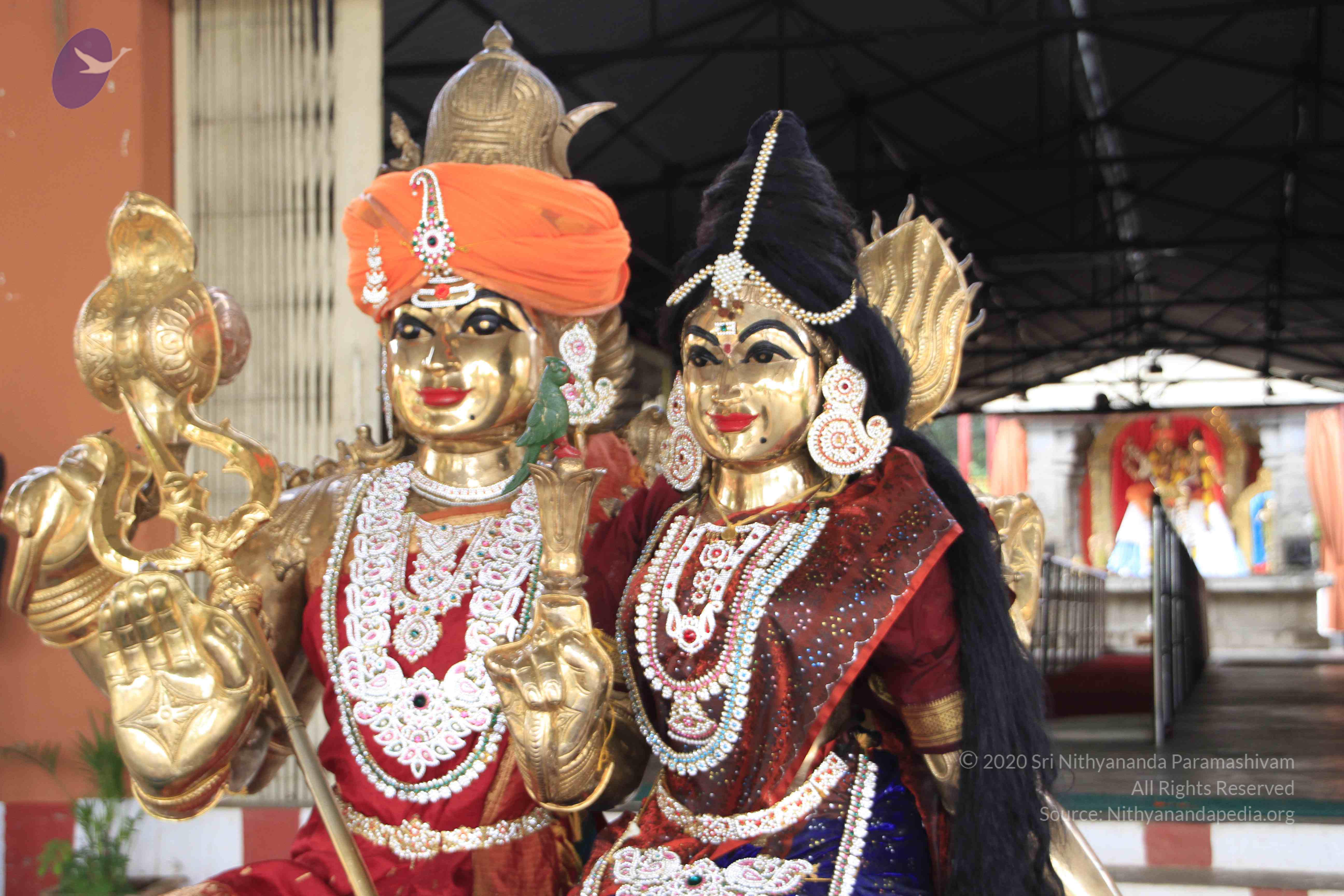 20110801_Photo_1123__MG_8615_CMP_WM