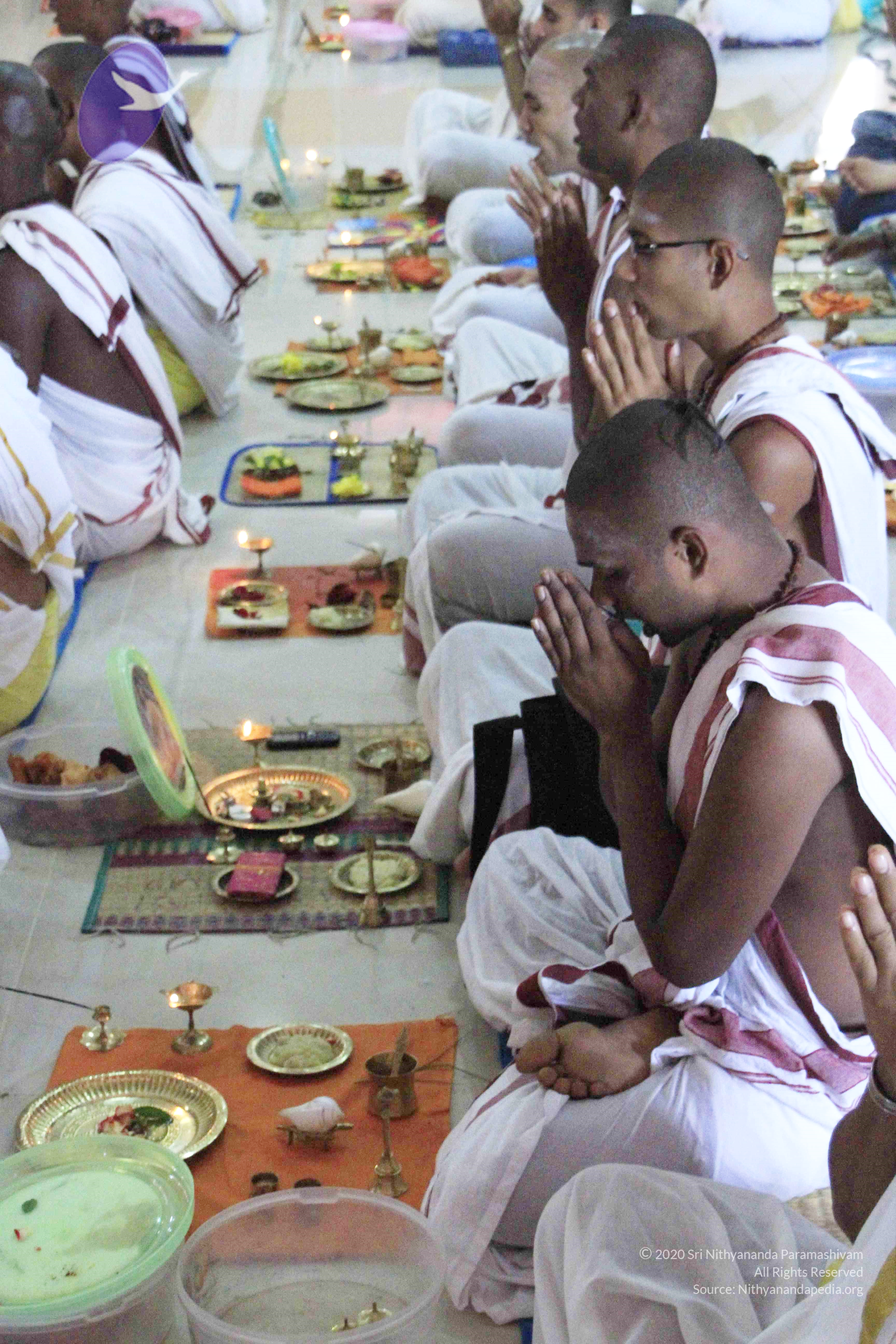 20110801_Photo_1126__MG_8670_CMP_WM