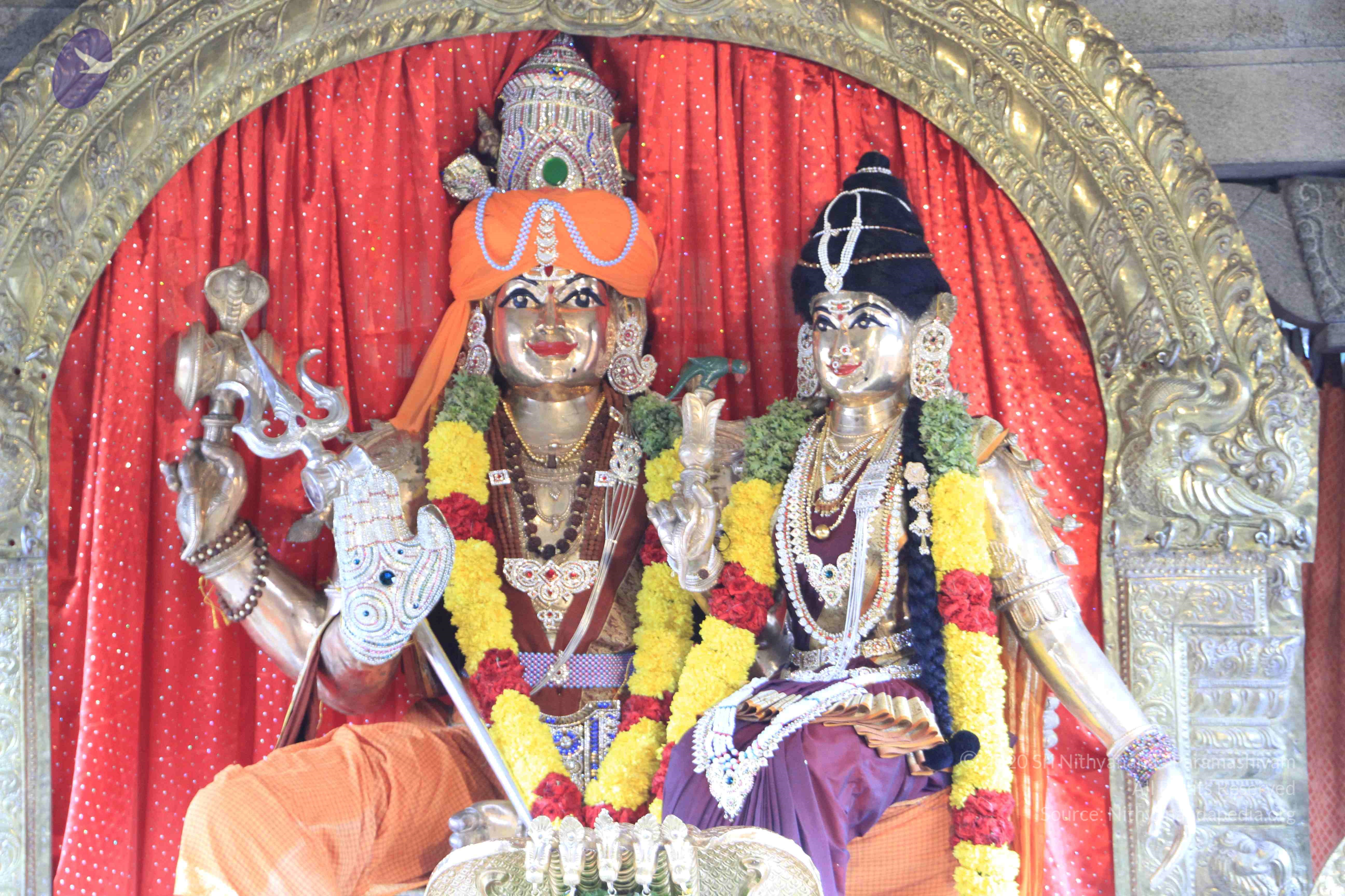 20110801_Photo_1131__MG_8628_CMP_WM