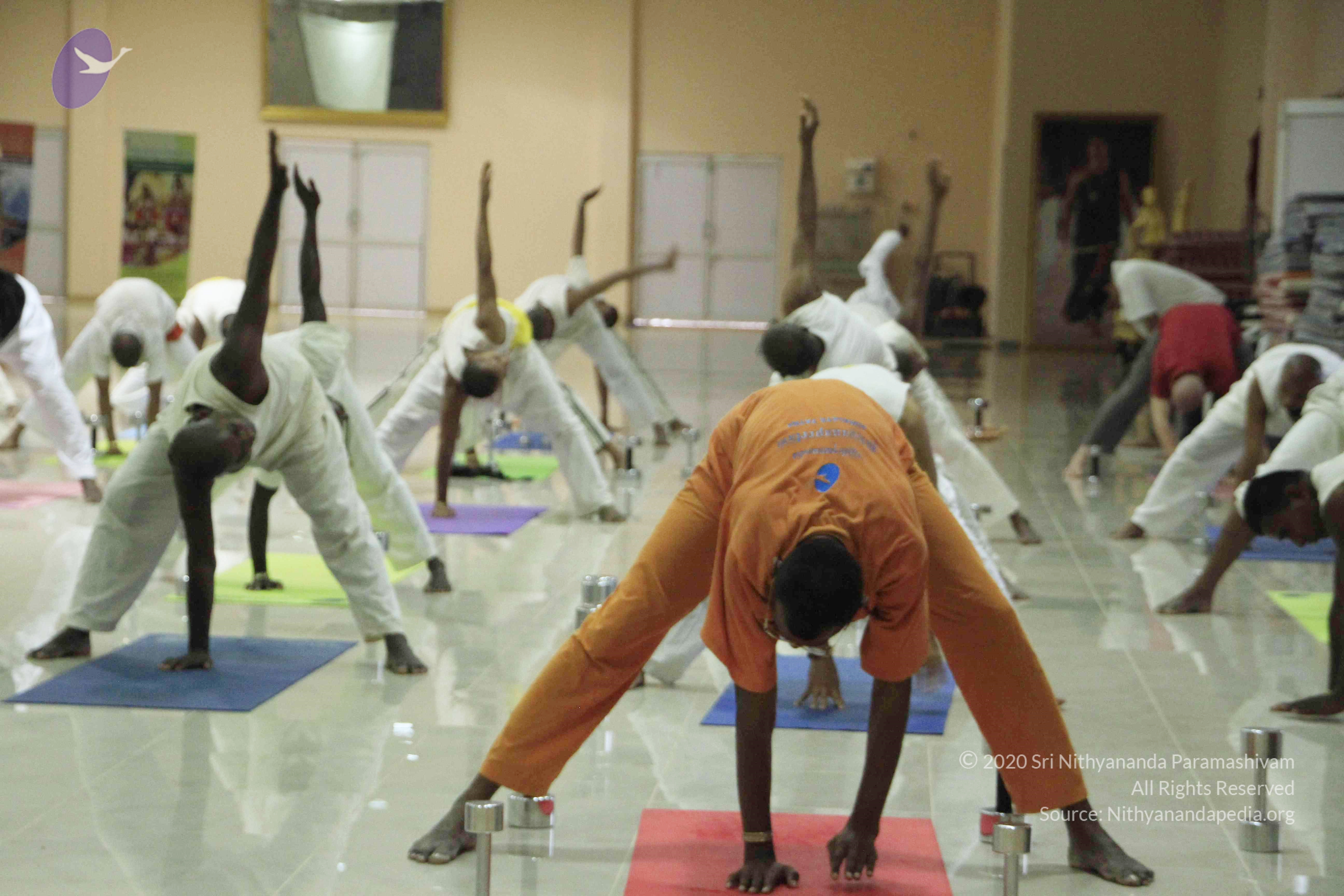 20110801_Photo_1132__MG_8595_CMP_WM