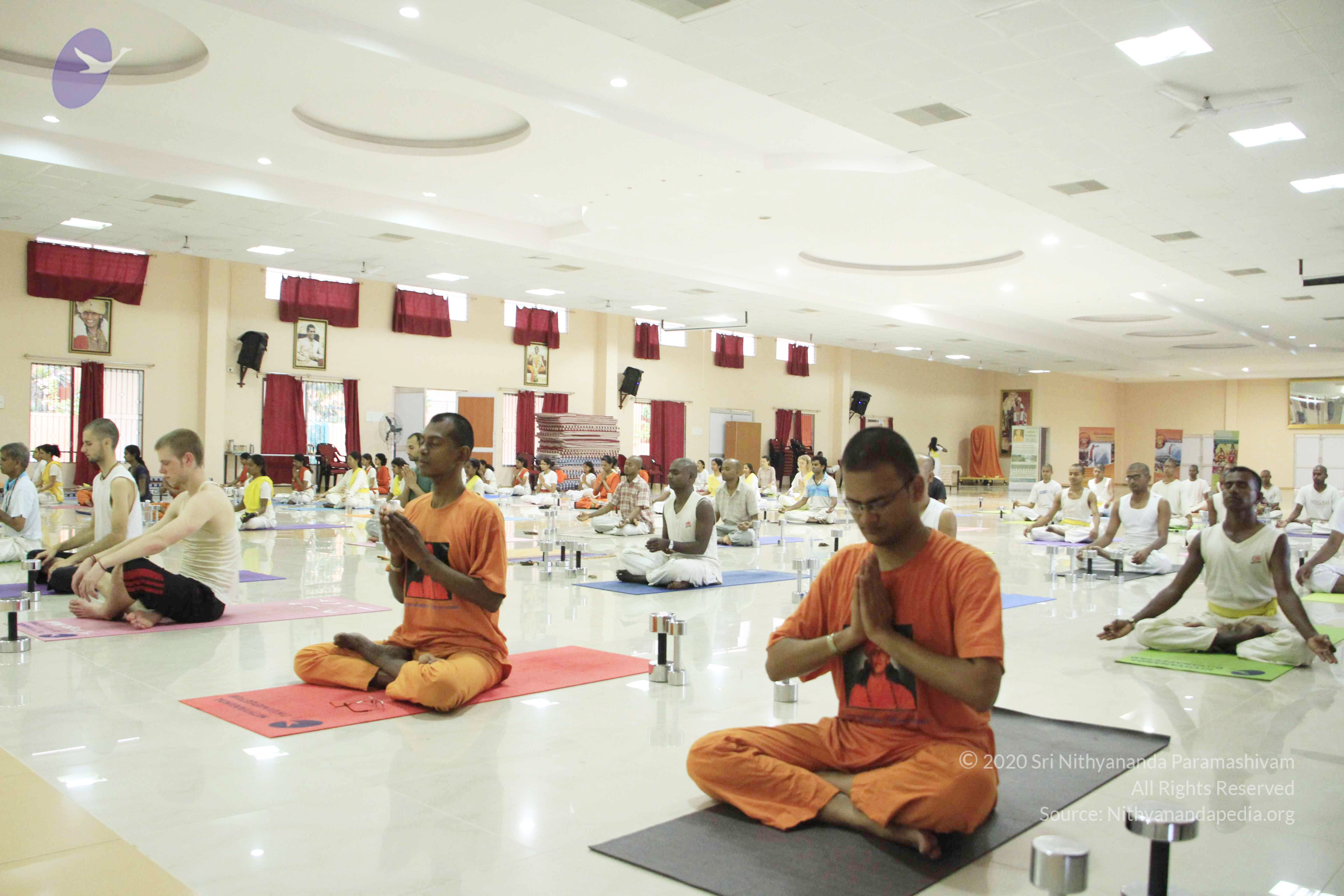 20110801_Photo_1133__MG_8603_CMP_WM